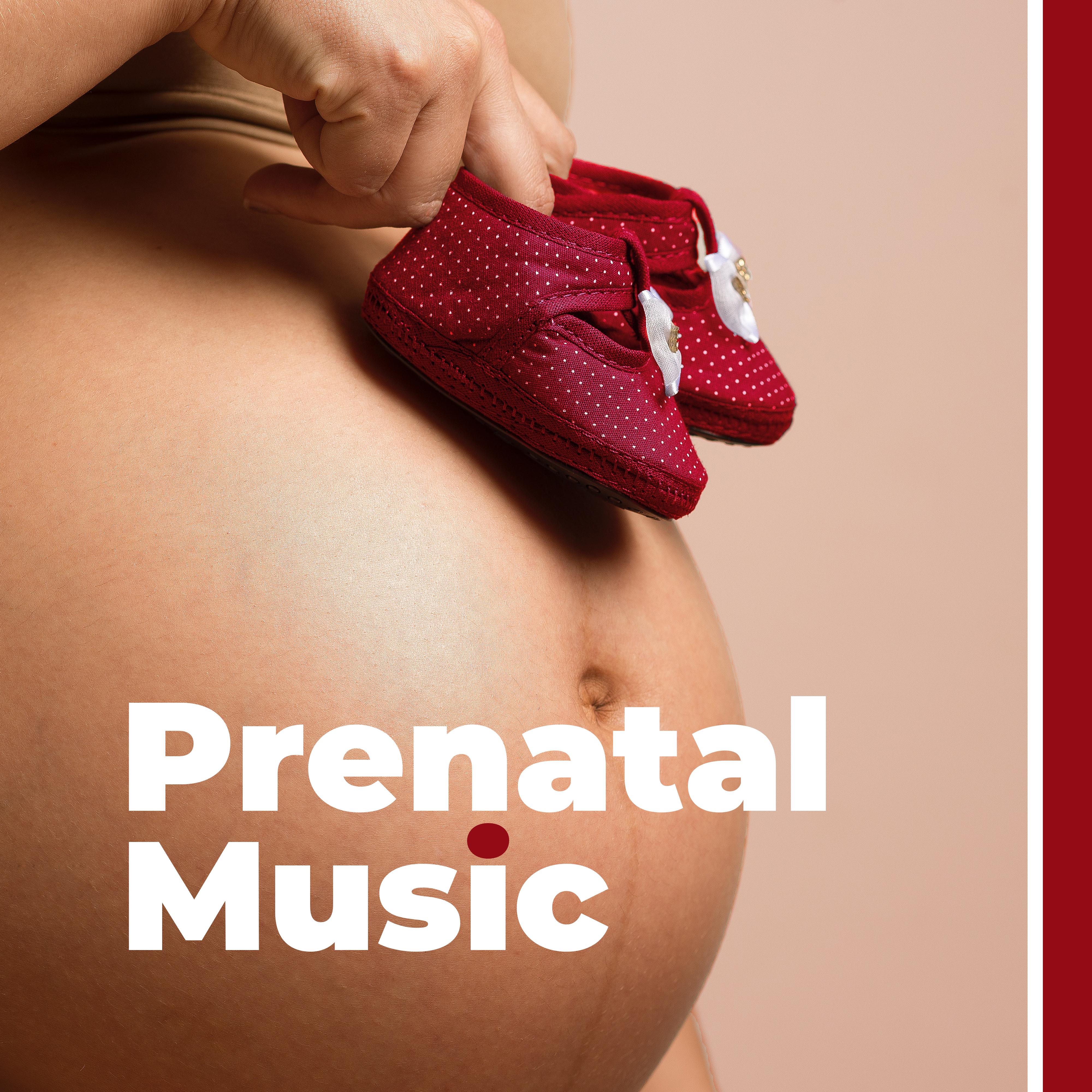 Prenatal Music: Nature's Melodies for Pregnant Womens