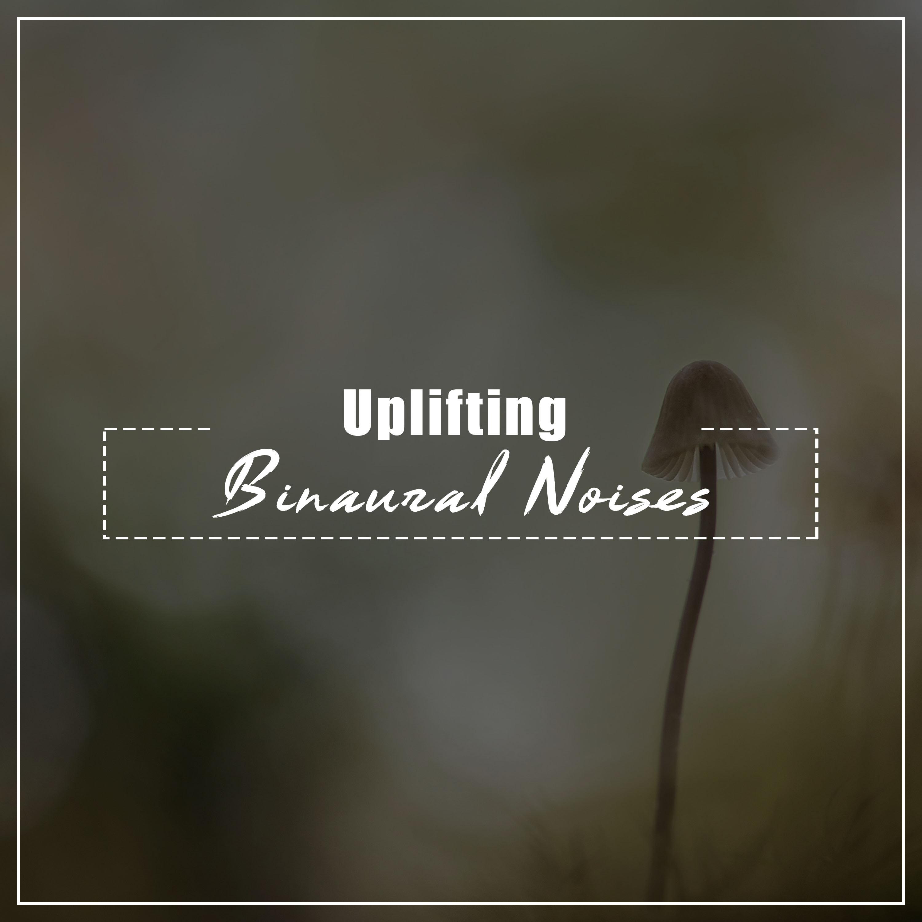 #20 Uplifting Binaural Noises