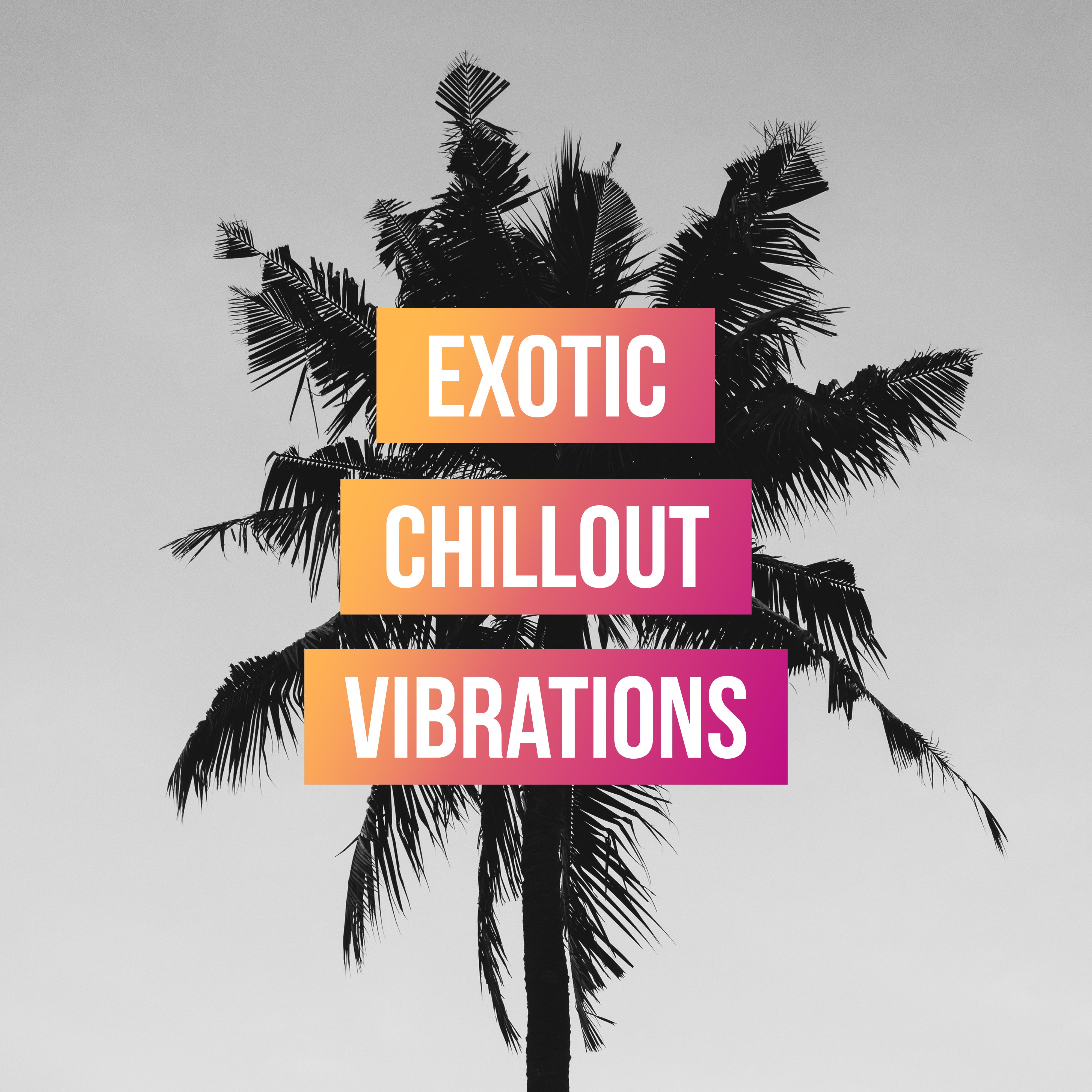 Exotic Chillout Vibrations