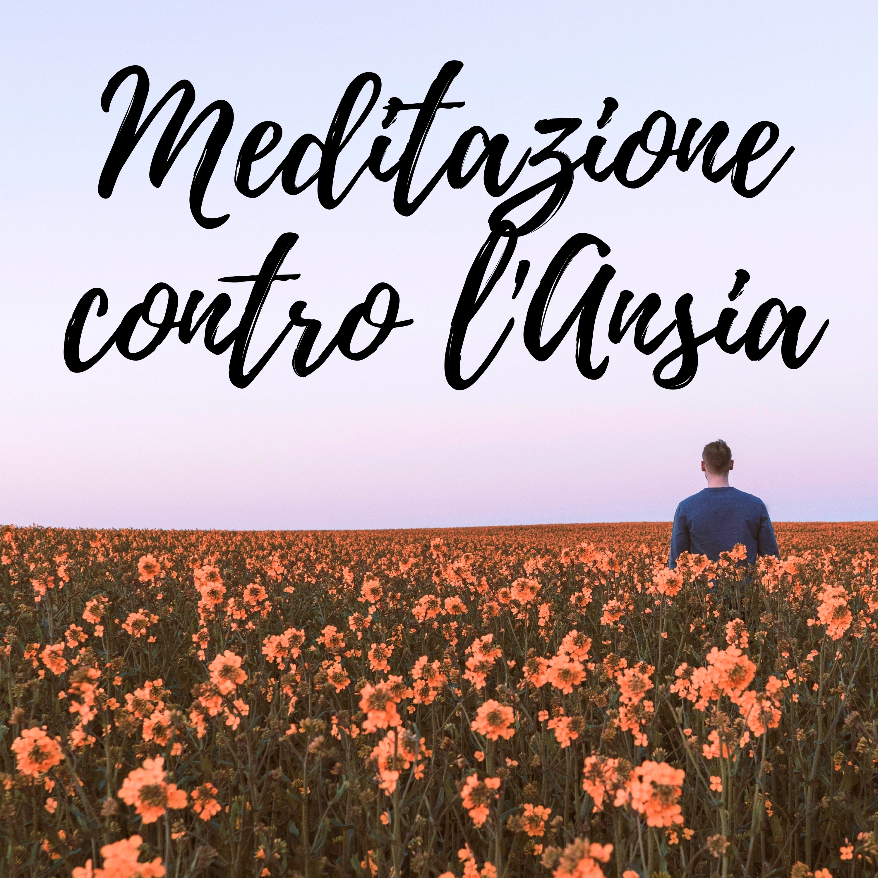 Meditazione Mindfulness