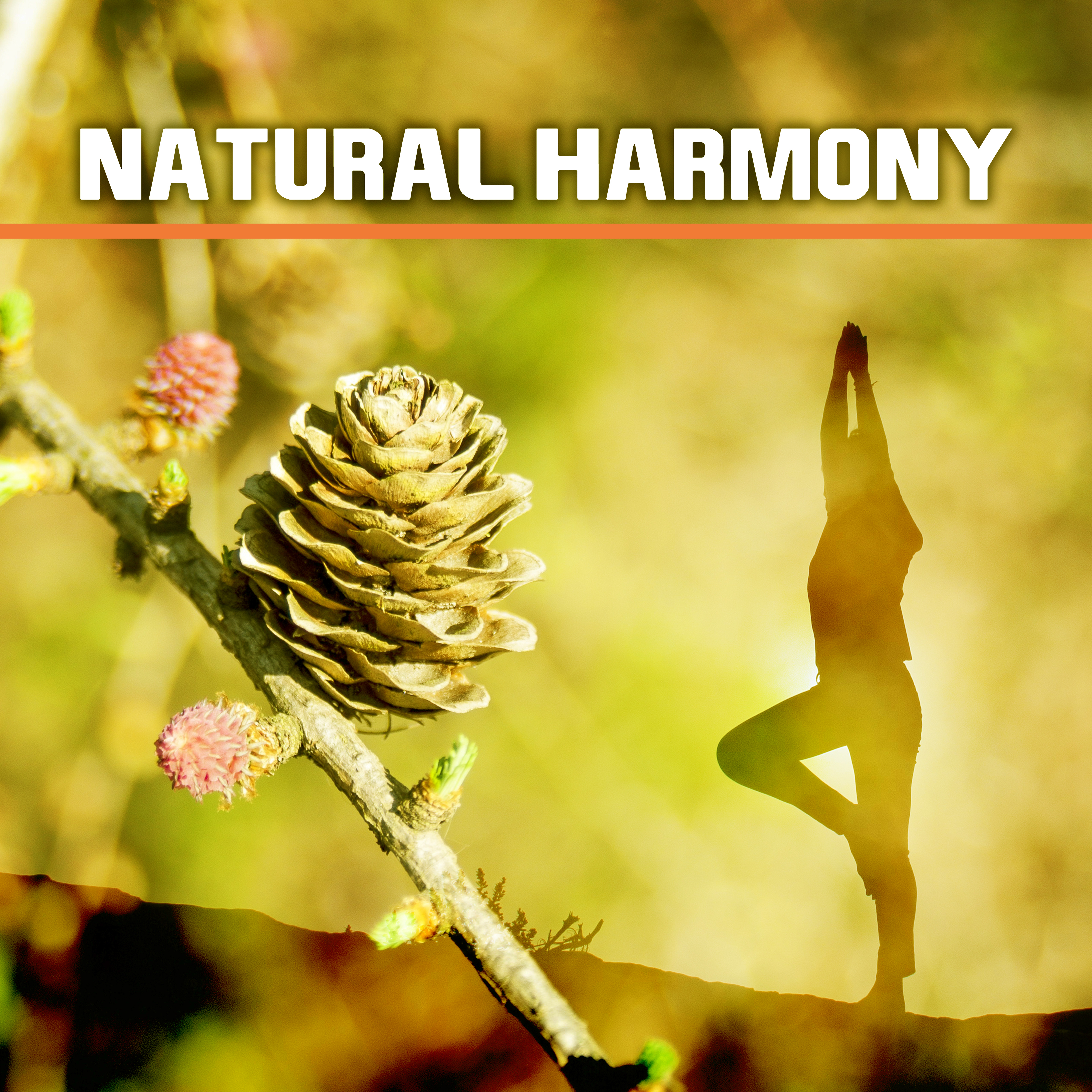 Natural Harmony – Nature Souds, Relaxation, Rest, Relief Stress, Relaxing Music Therapy, New Age