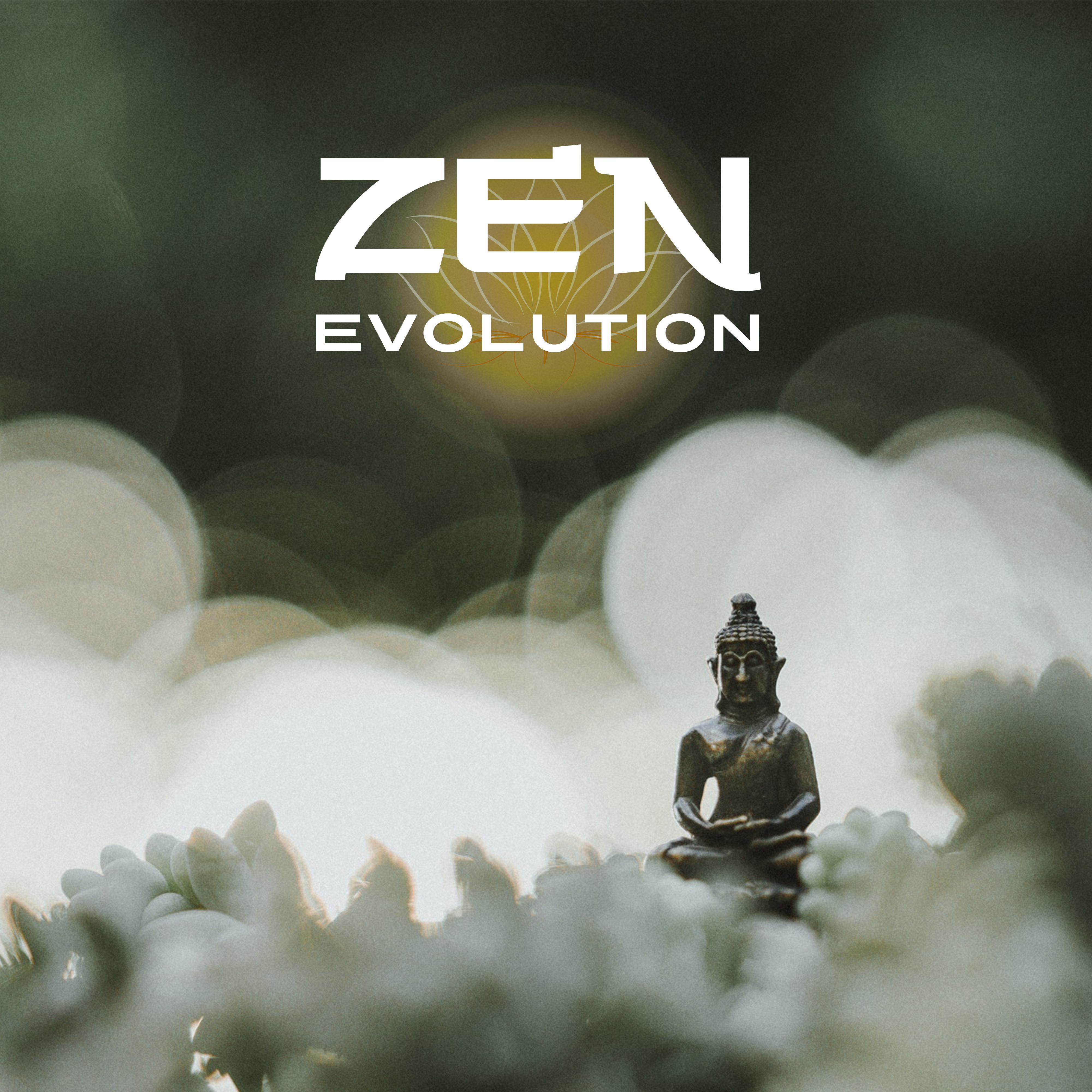 Zen Evolution