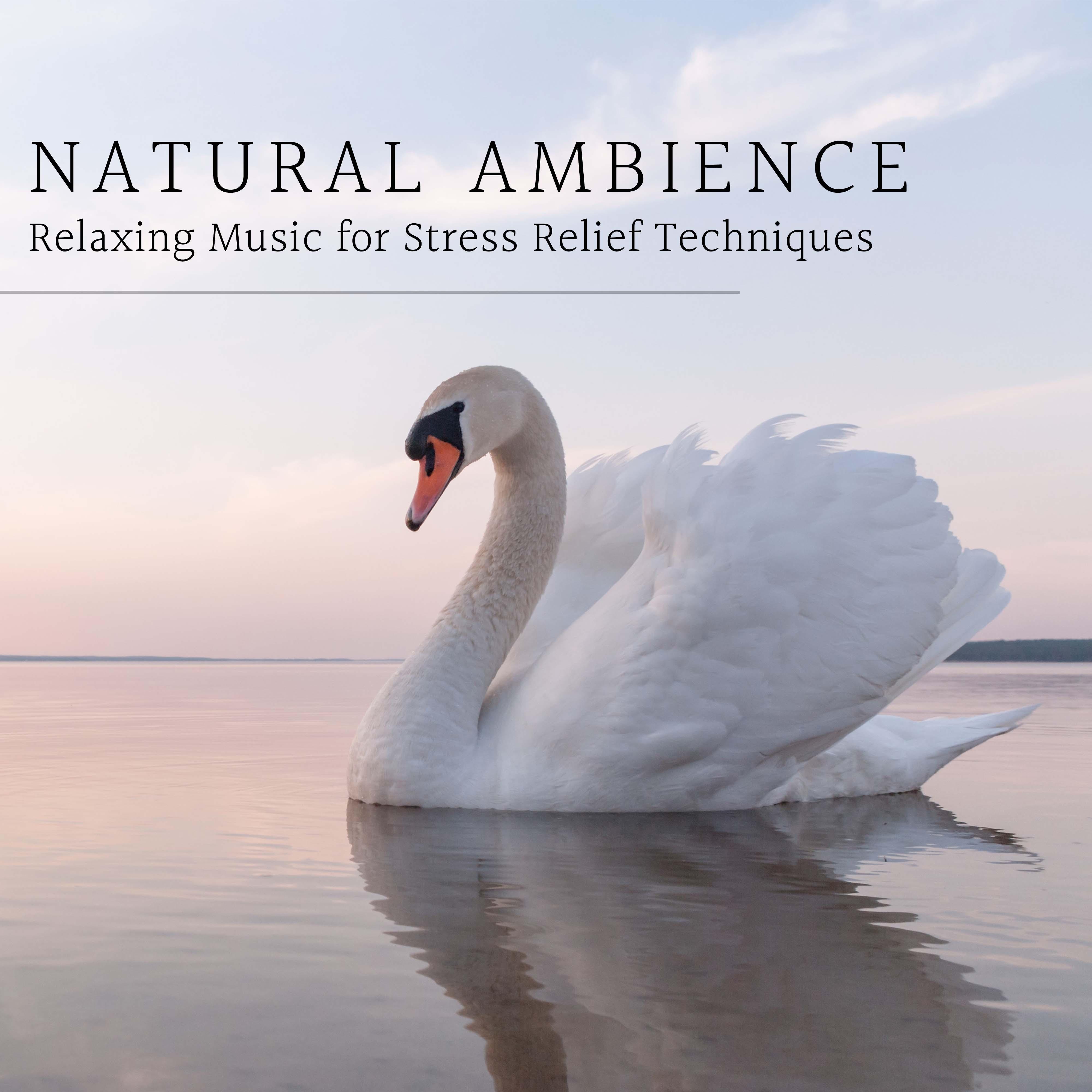 Natural Ambience - Relaxing Music for Stress Relief Techniques