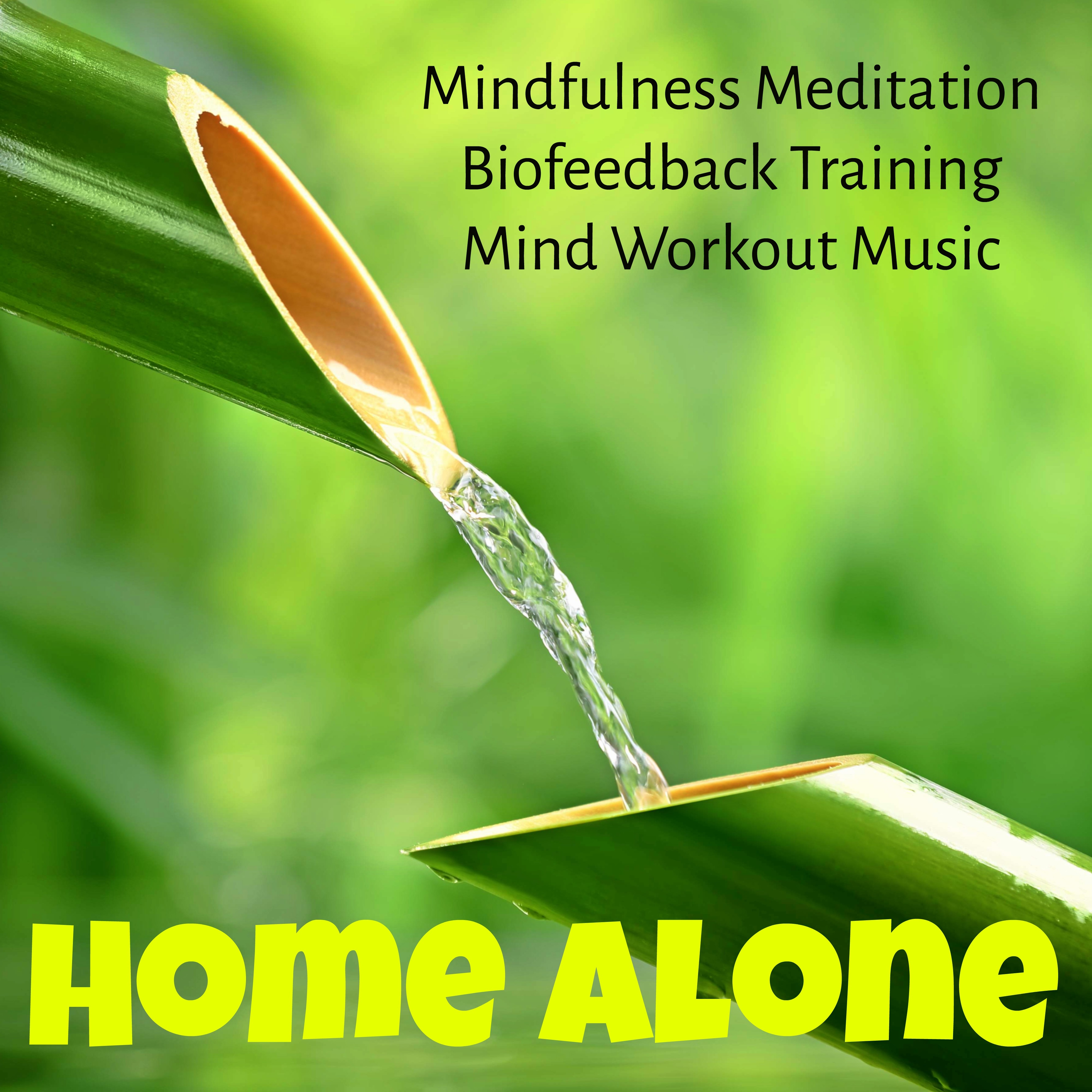Home Alone - Mindfulness Meditation Biofeedback Training Mind Workout Music with Natural New Age Instrumental Sounds
