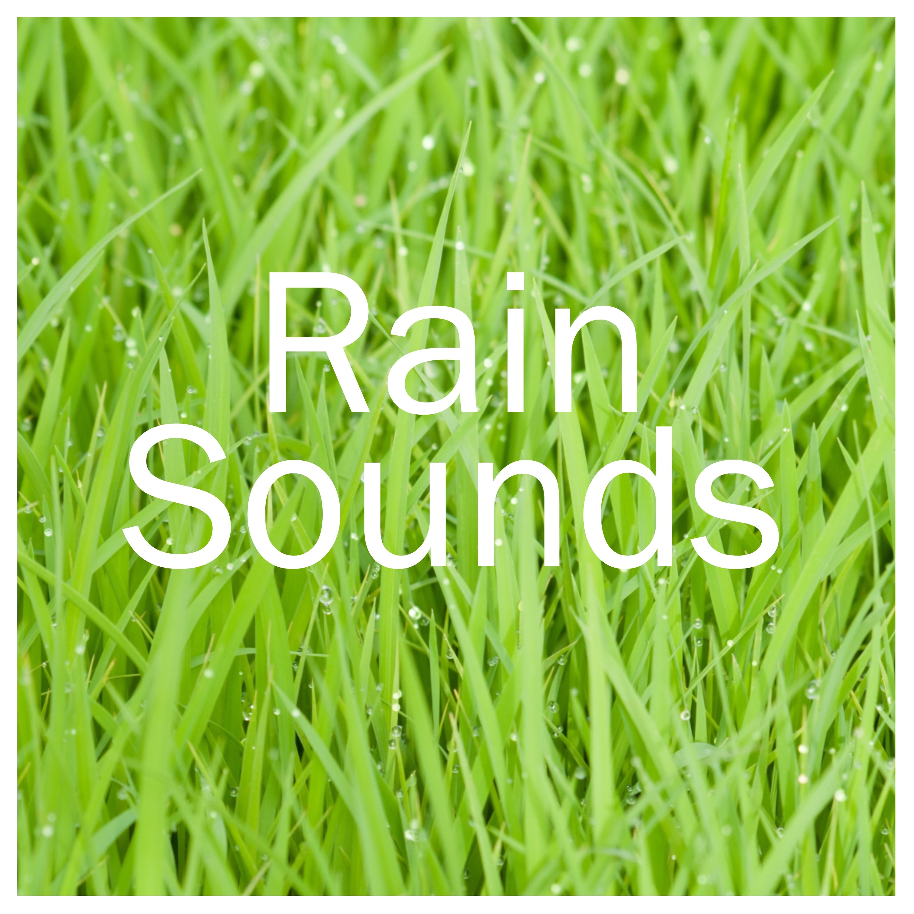 16 Soothing Rain Sounds for a Peaceful Nights Sleep