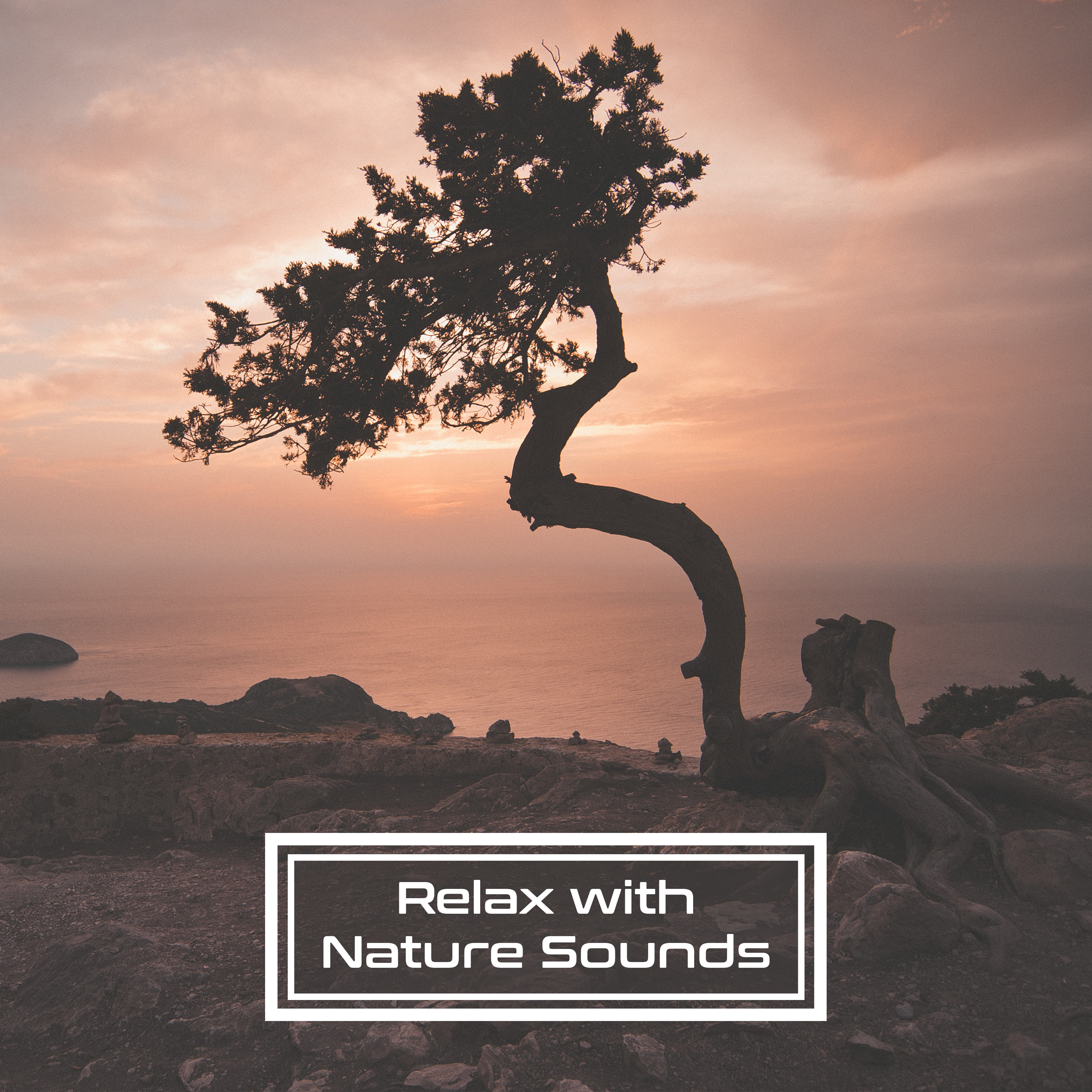 Relax with Nature Sounds – Music for Relaxation, Deep Sleep, Relaxing Waves, Soothing Rain, Birds Sounds, Ambient Music, Pure Mind
