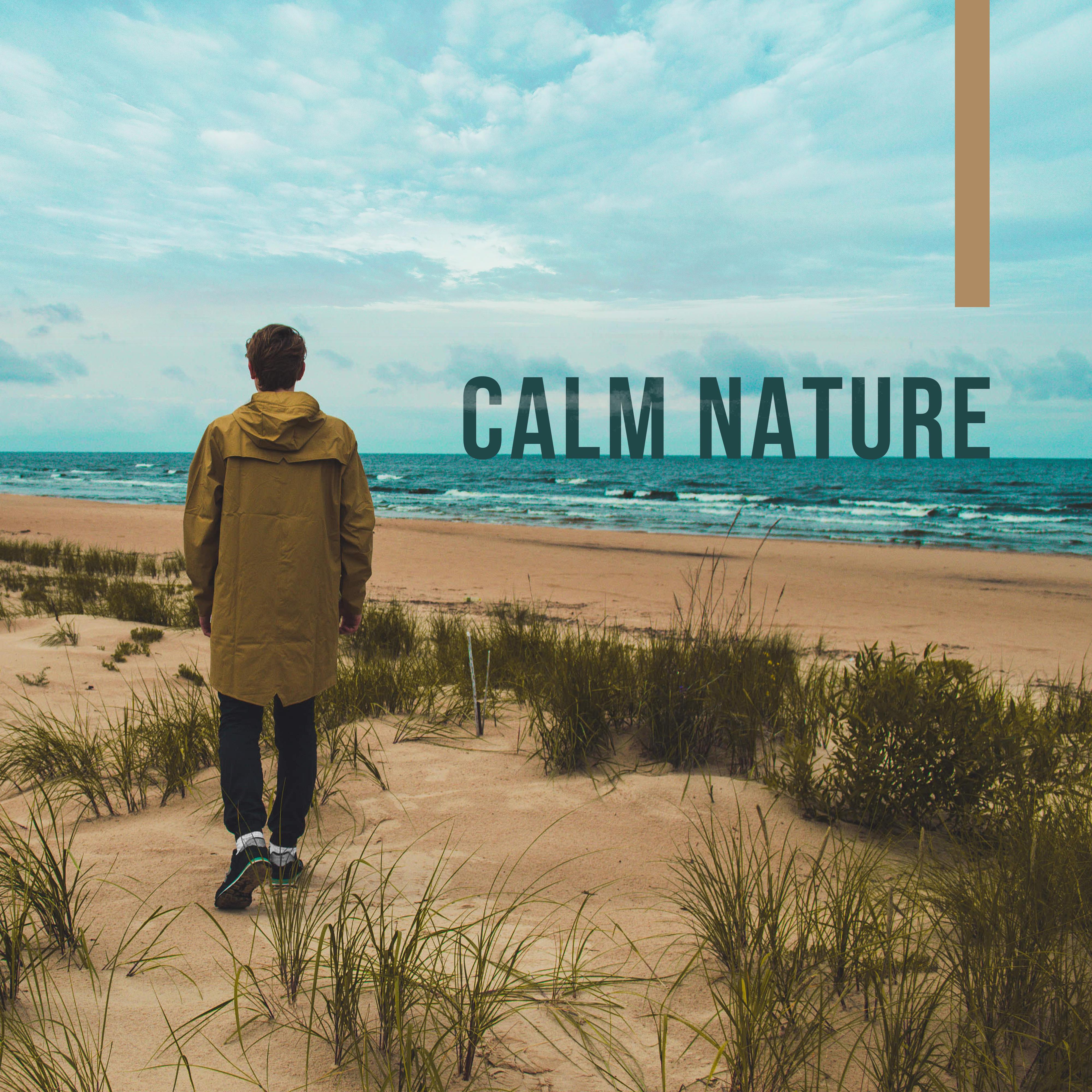 Calm Nature – Relaxing Music, Stresss Relief, Reduce Anxiety, Rest After Work