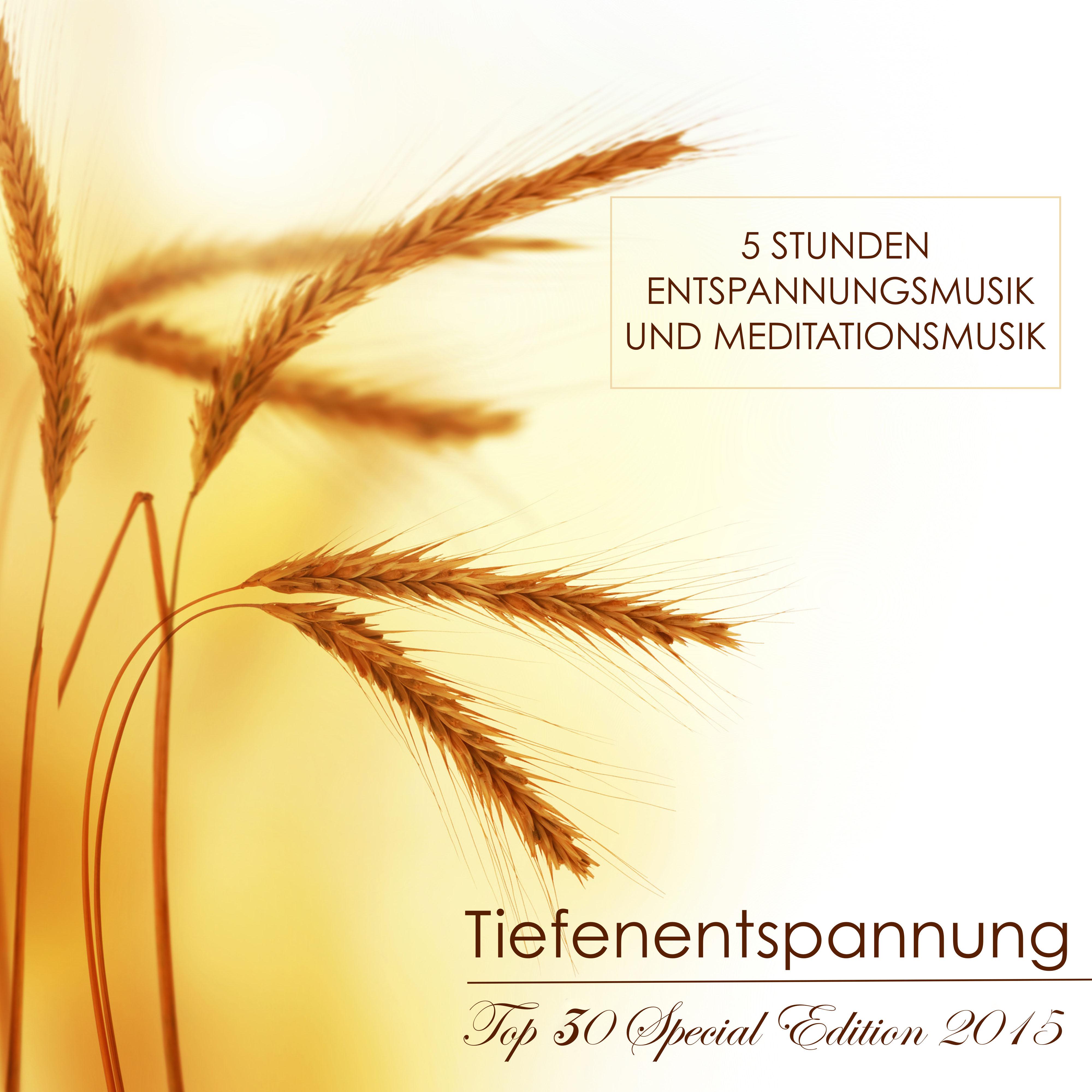 Tiefenentspannung Top 30 Special Edition 2015 - 5 Stunden Entspannungsmusik und Meditationsmusik für Gesunder Schlaf, Ruhe und Positives Denken