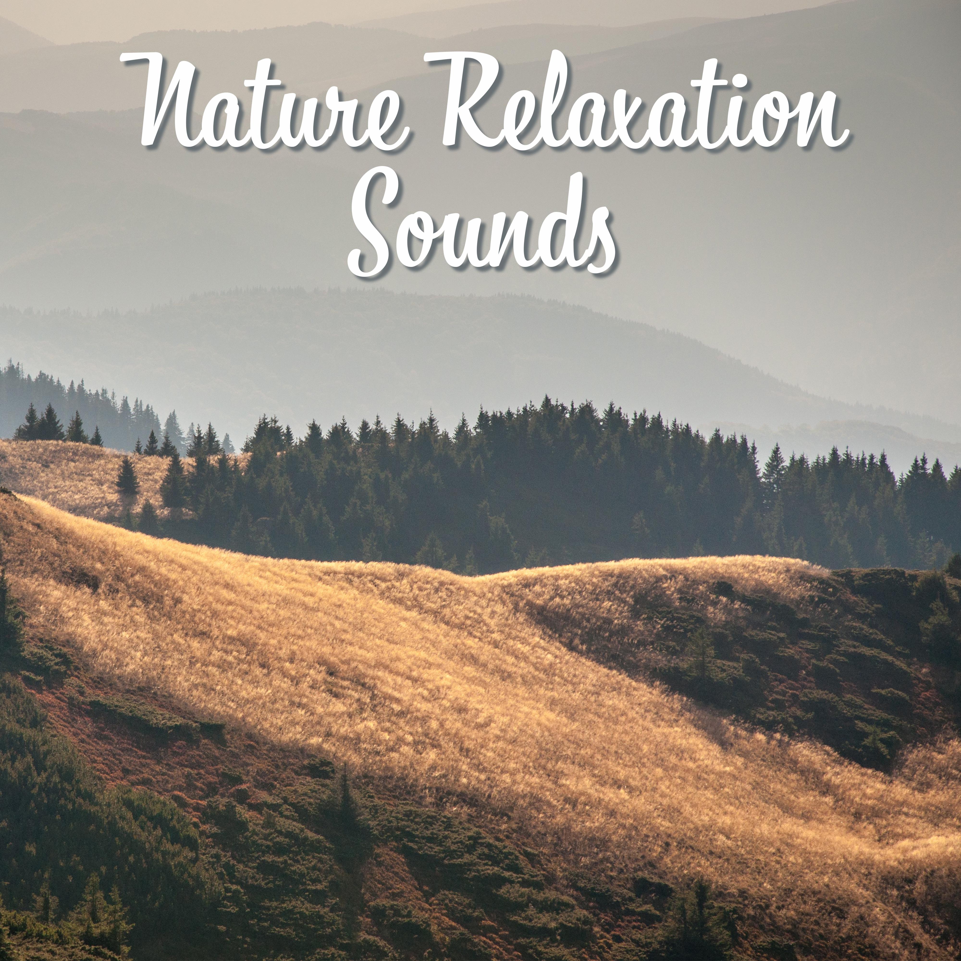 Nature Relaxation Sounds – Soothing New Age Music, Forest Waves, Calm Mind, Rest & Relax