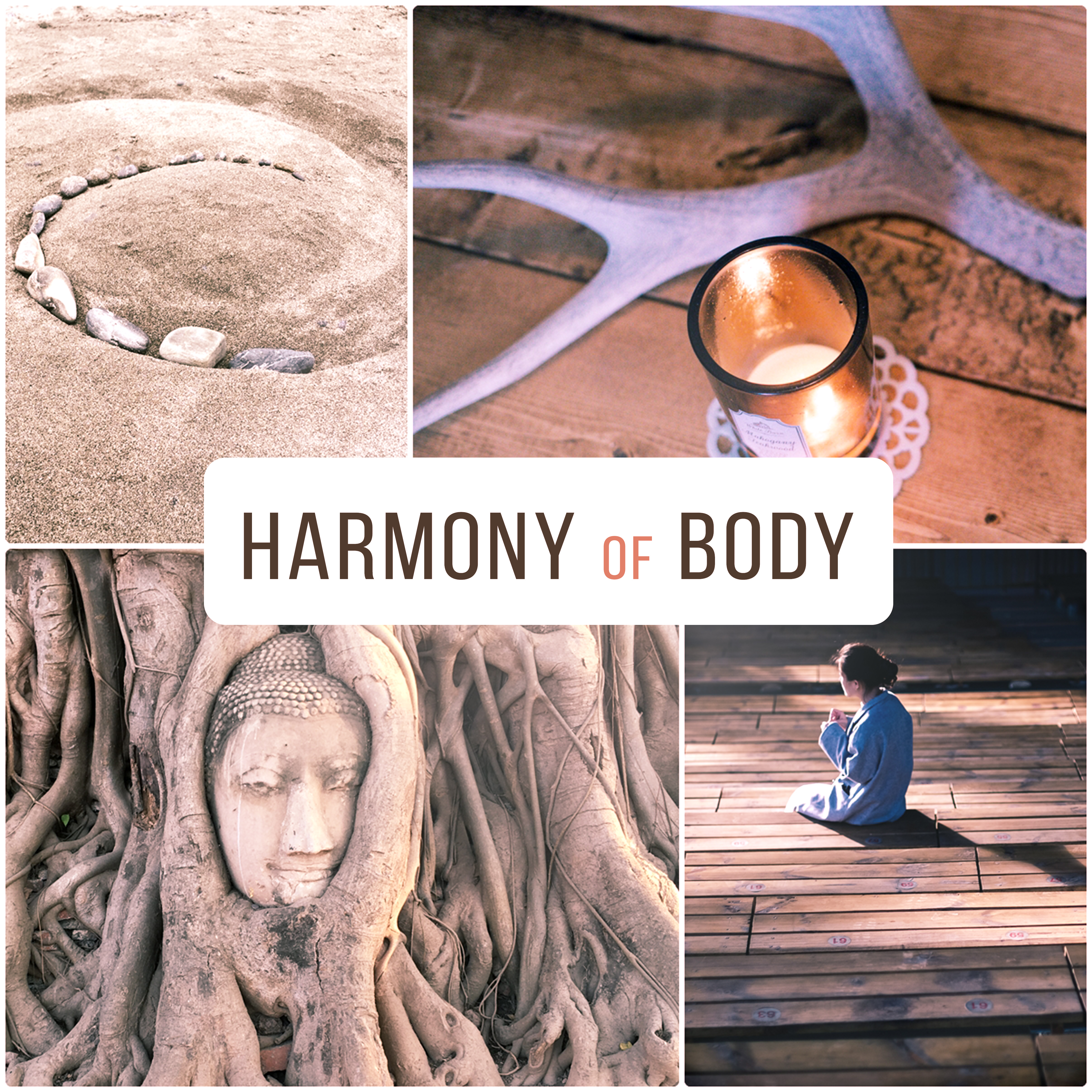 Harmony of Body – Meditation Music, Nature Sounds, Deep Relief, Pure Mind, Deep Concentration, Tranquility
