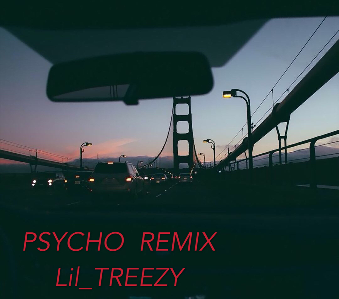 PSYCHO REMIX