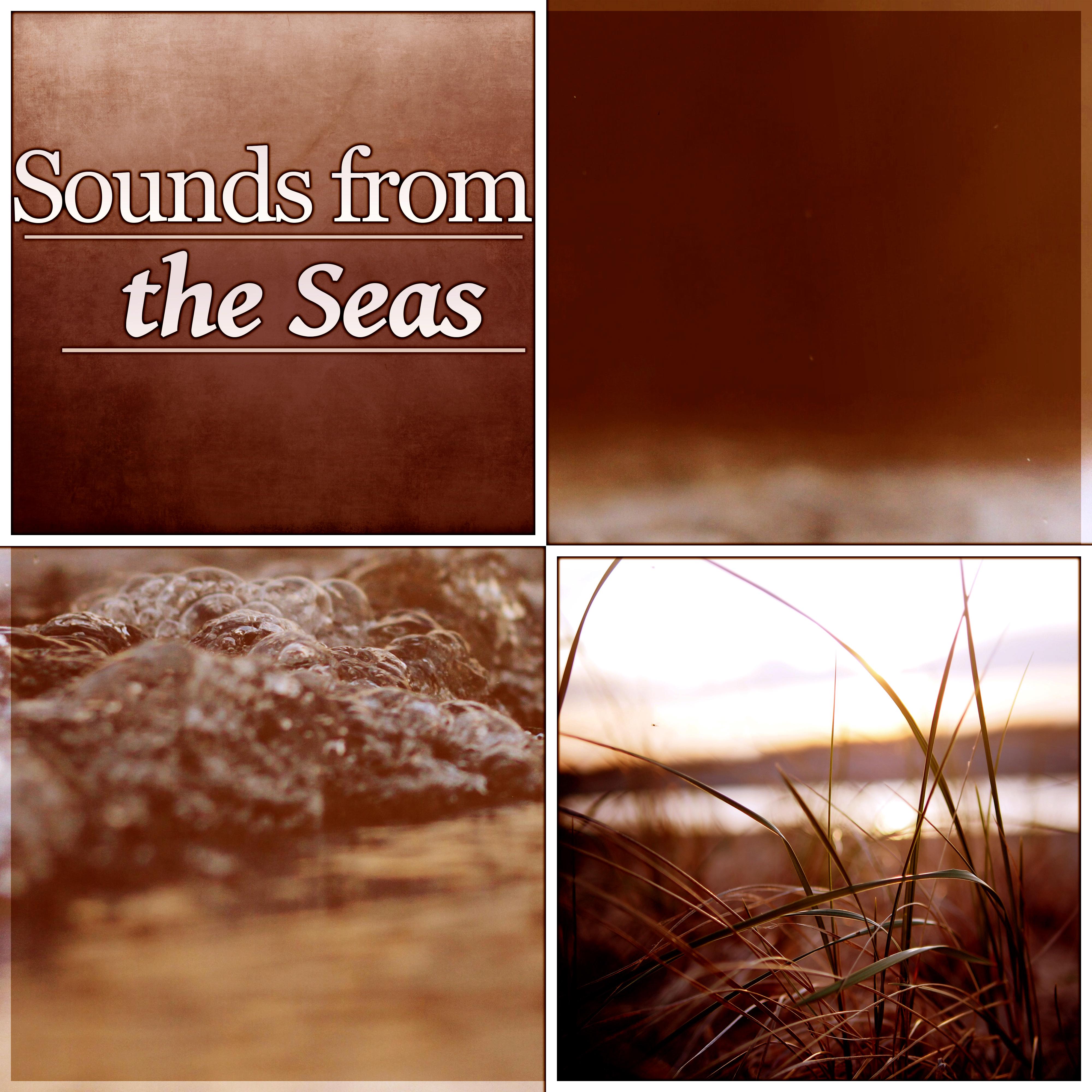 Sounds from the Seas – Ocean Waves, Crystal Water, Easy Listening, Healing Water, Calmness, 7 Seas, Beach Waves, Gentle Sea, Relaxing Ocean Meditation