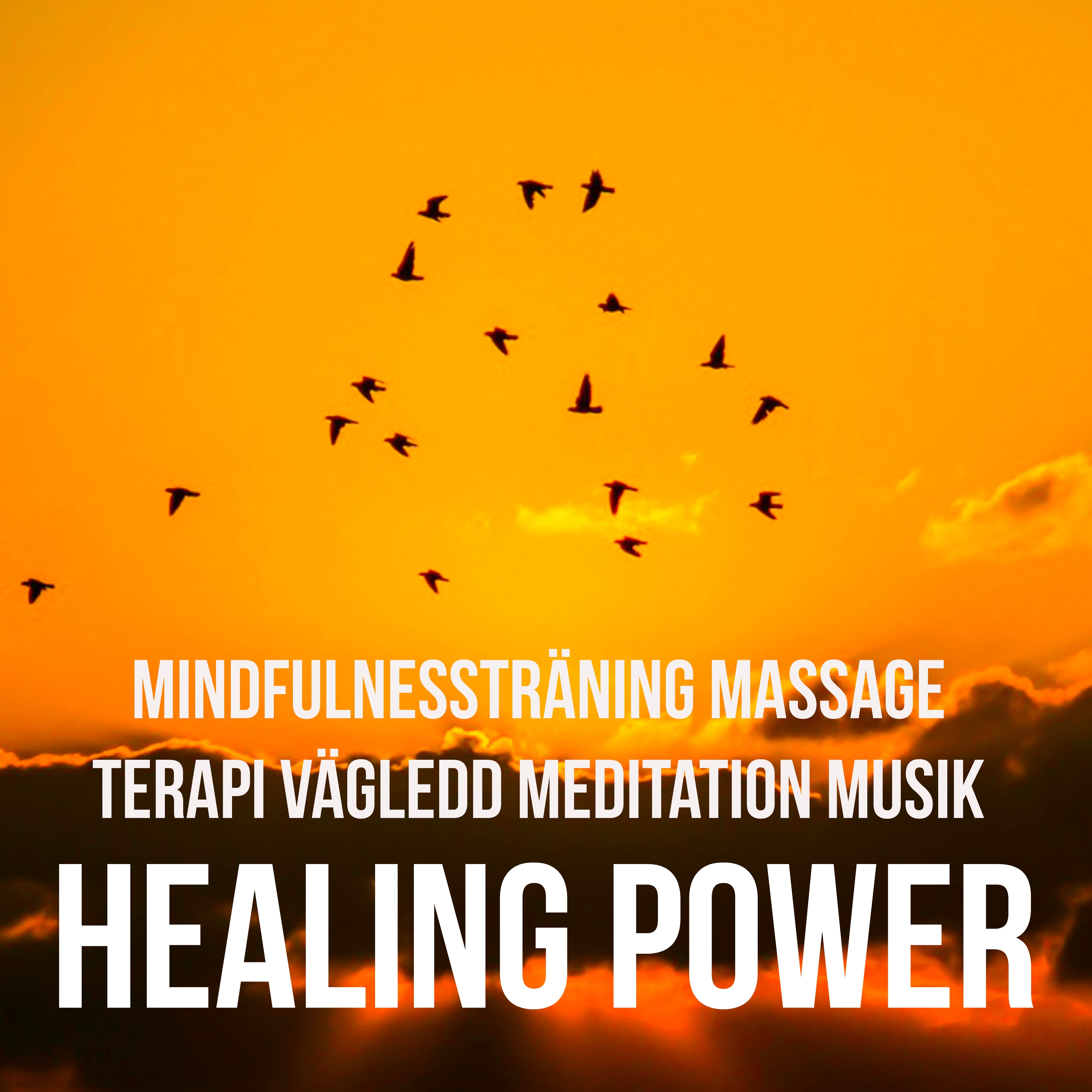 Healing Power - Mindfulnessträning Massage Terapi Vägledd Meditation Musik med Instrumental New Age Lugn Ljud