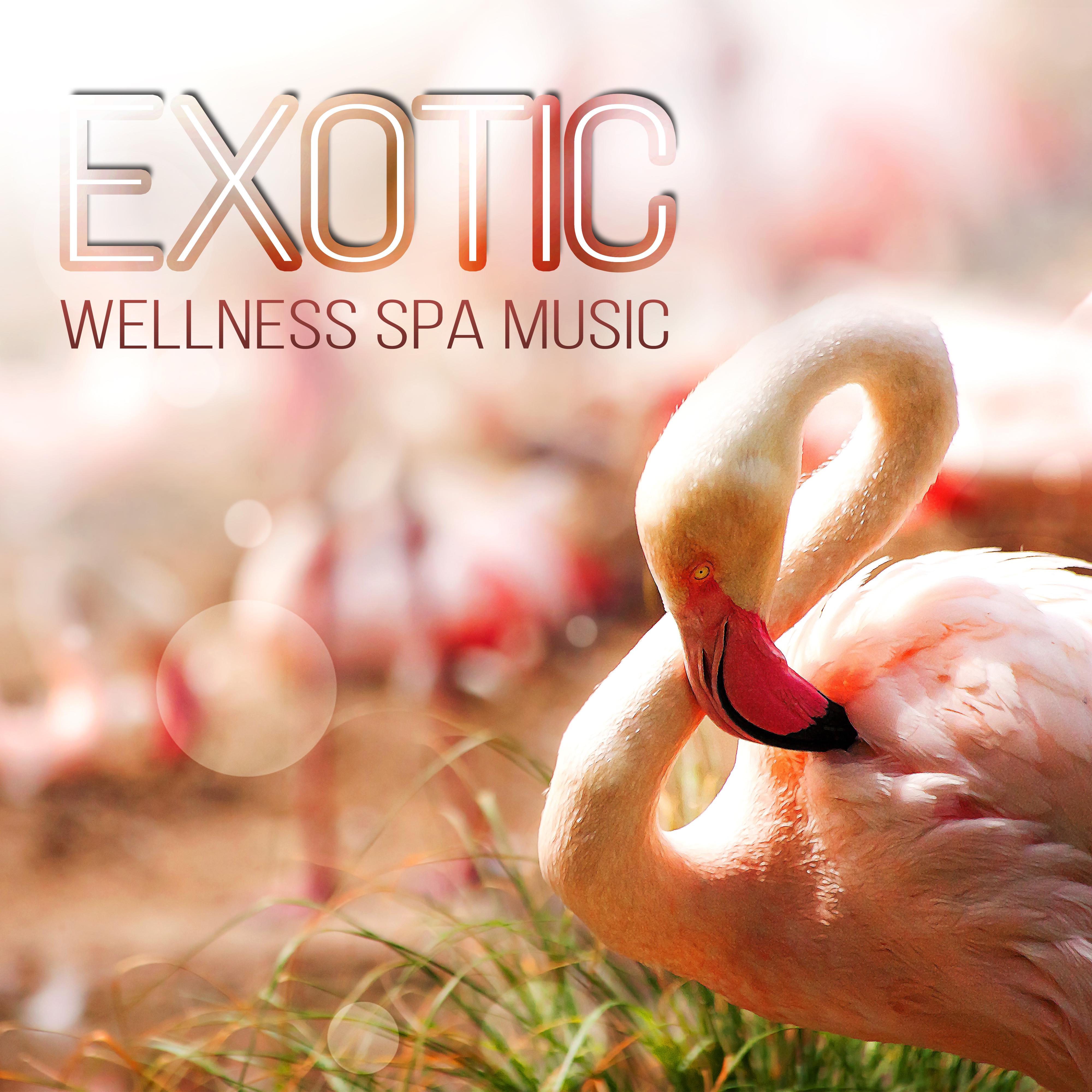 Exotic Wellness Spa Music – New Age Songs for Spa Breaks, Relaxation & Meditation, Sound Therapy, Massage, Reiki, Stress Relief & Well Being
