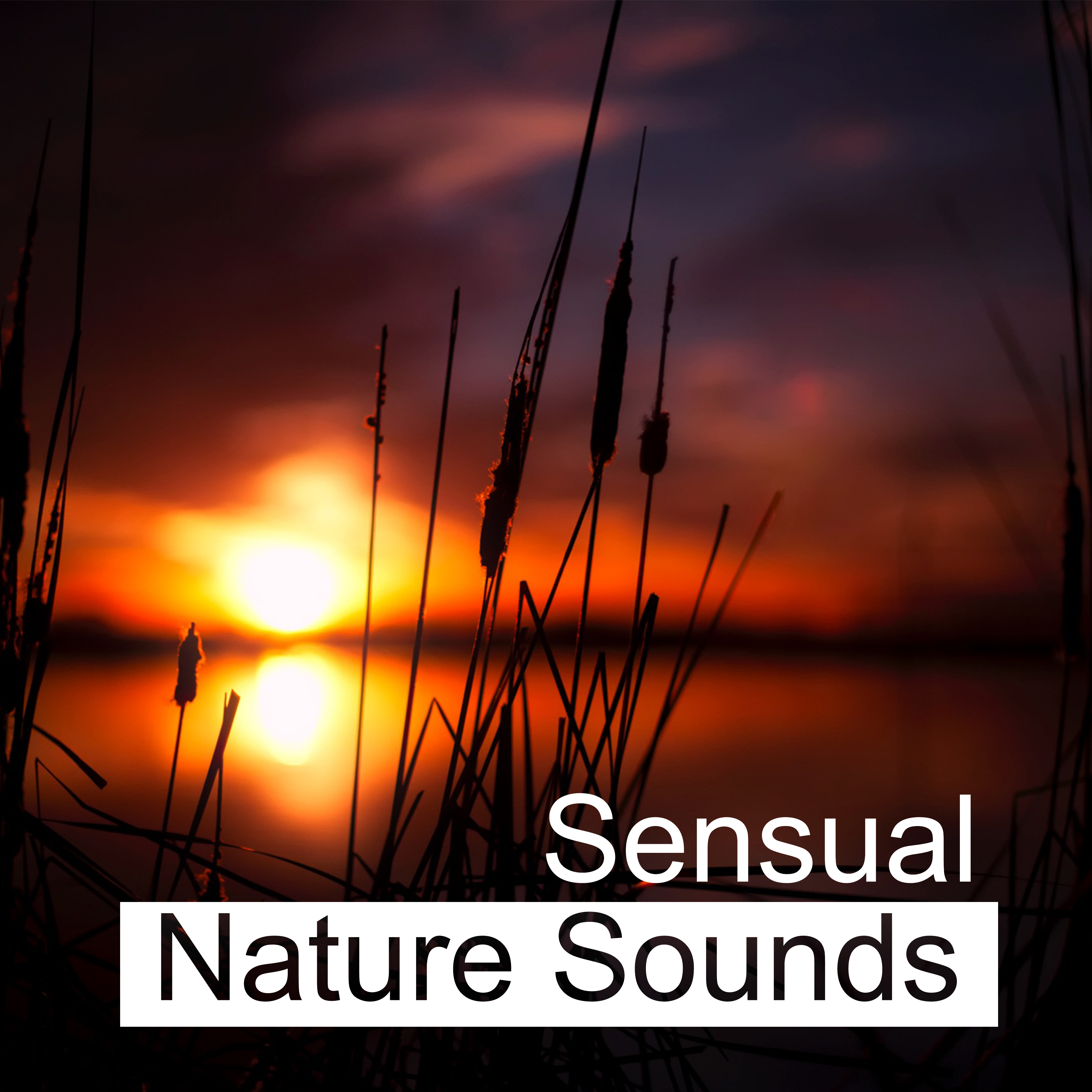 Sensual Nature Sounds – Calming Waves, Harmony Soul, Inner Silence, Peaceful Sounds to Rest, New Age Music