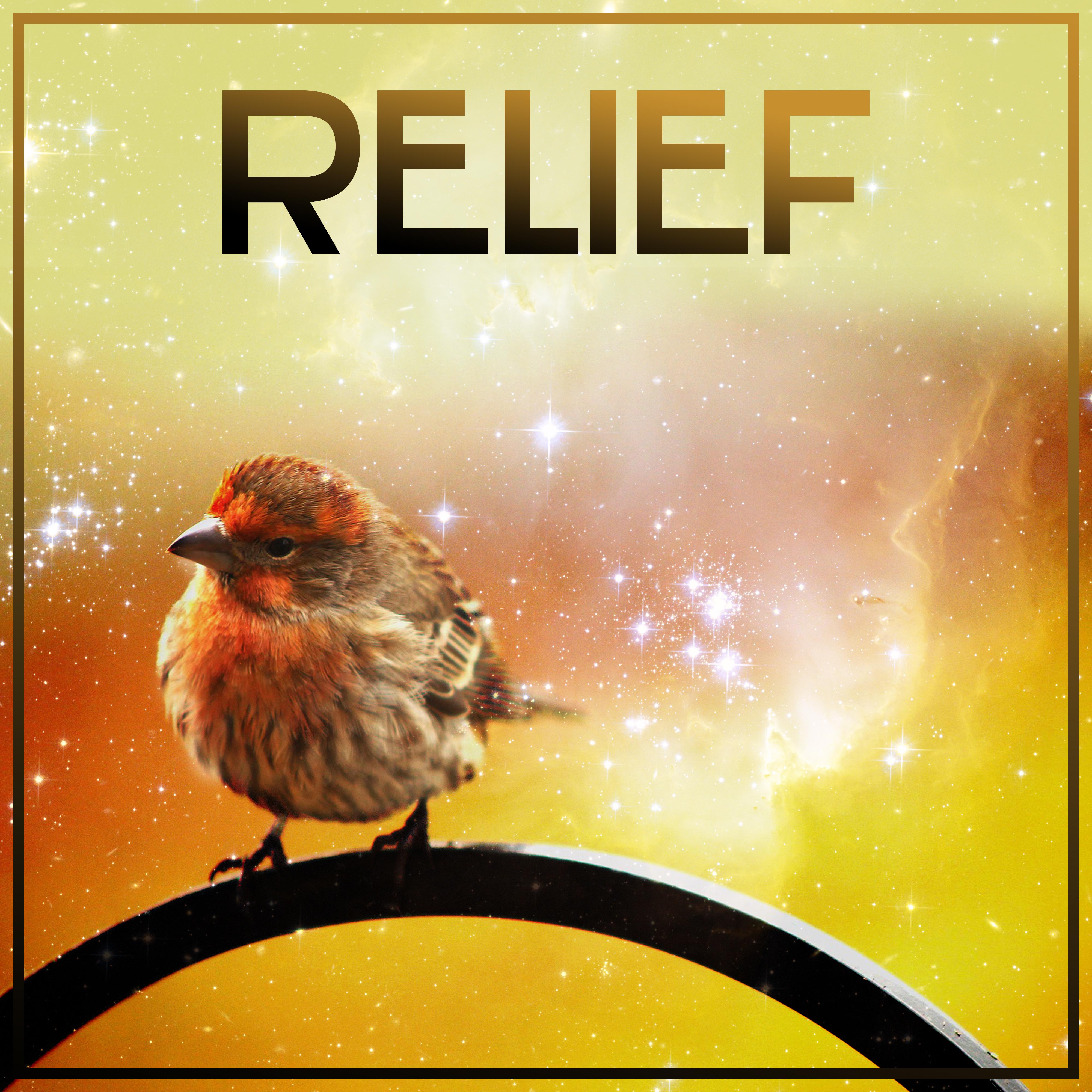 Relief – Nature Sounds for Relaxation, Deep Sleep, Stress Free, Healing Water, Relaxing Waves, Sounds of Sea, Rest, Peaceful Mind