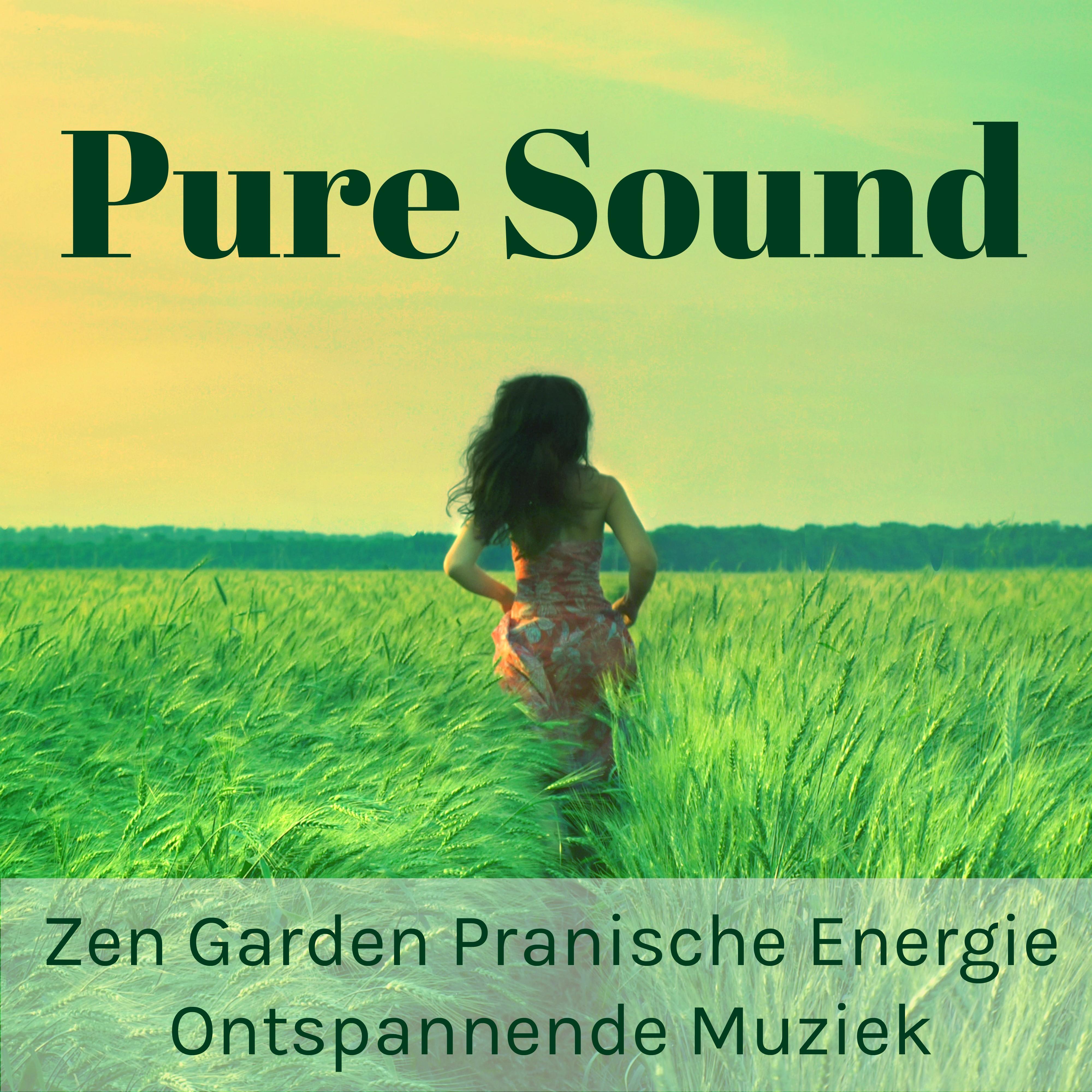 Pure Sound - Zen Garden Pranische Energie Ontspannende Muziek voor Vipassana Meditatie Helende met Zachte new Age Instrumentale Geluiden