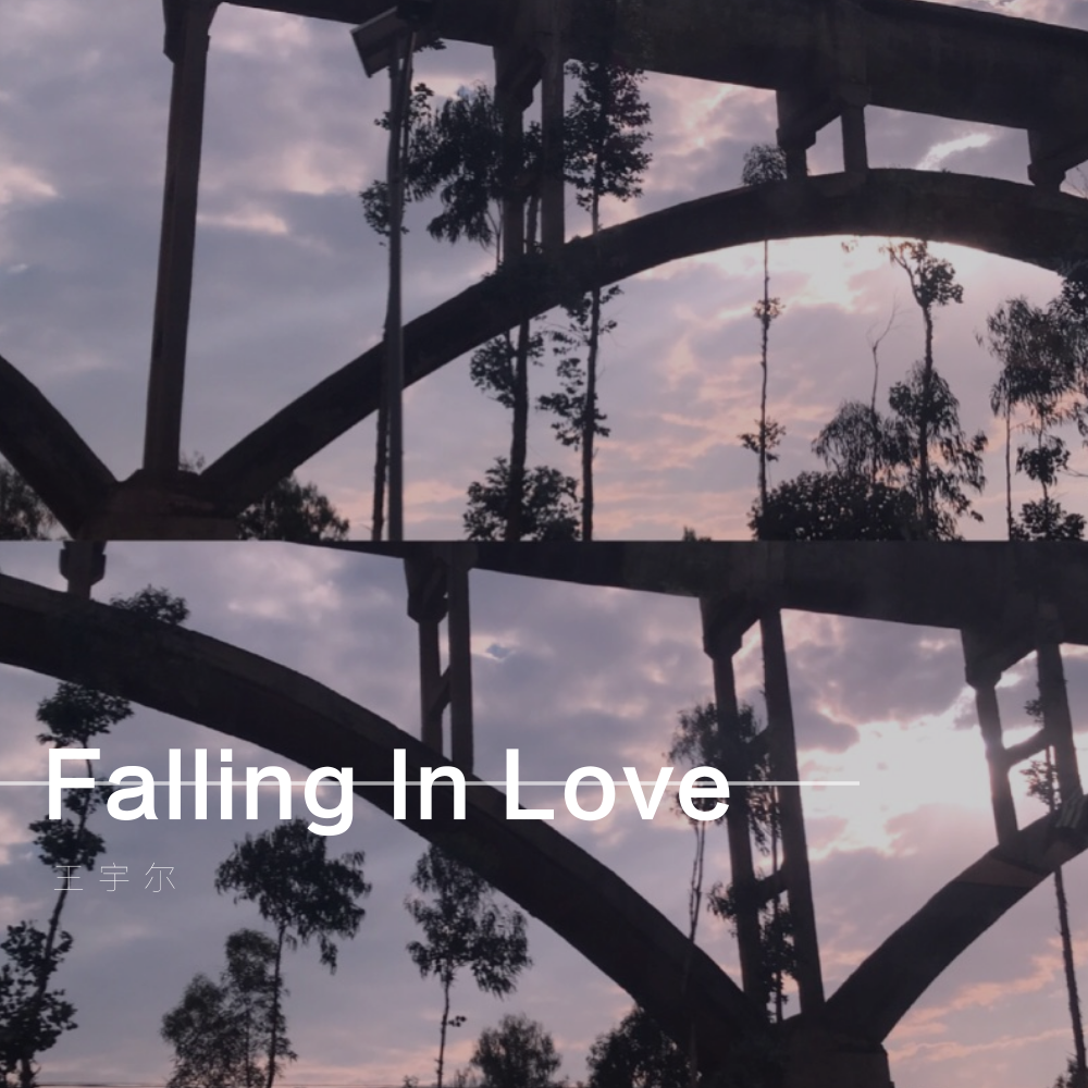 Falling In Love