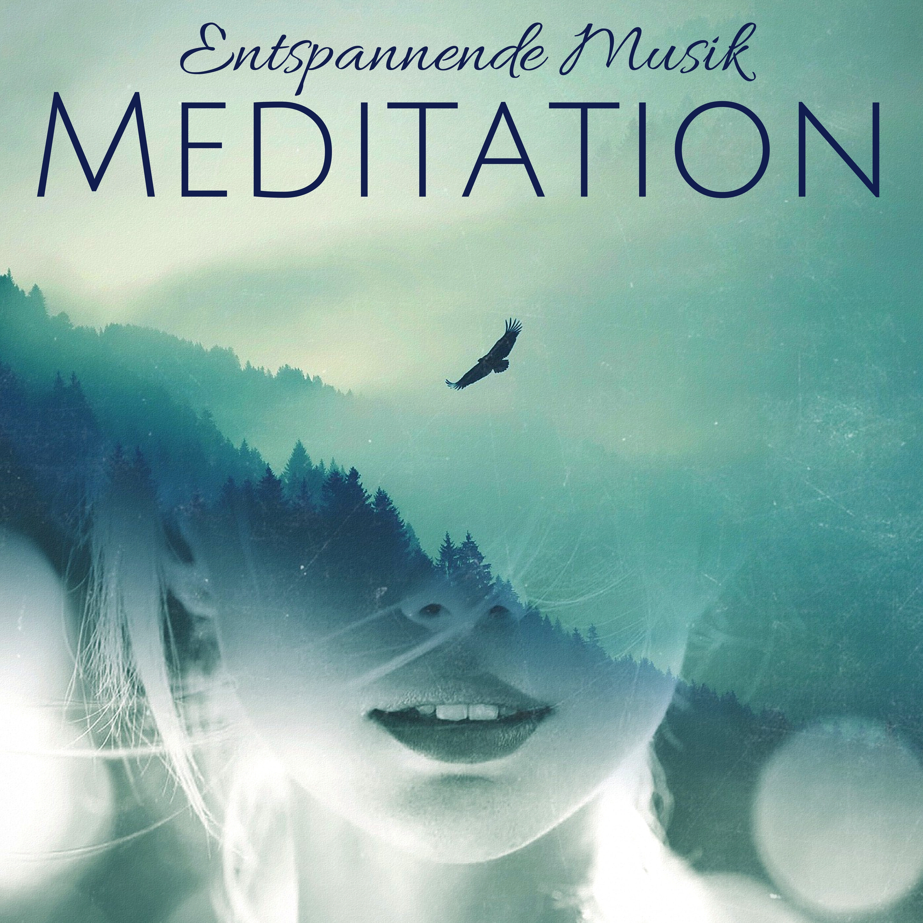 Meditation: Entspannende Musik, Tiefen Schlaf, Yoga, Vögel, Frösche, Ruhiges Meer, Wind, Donner im Wald