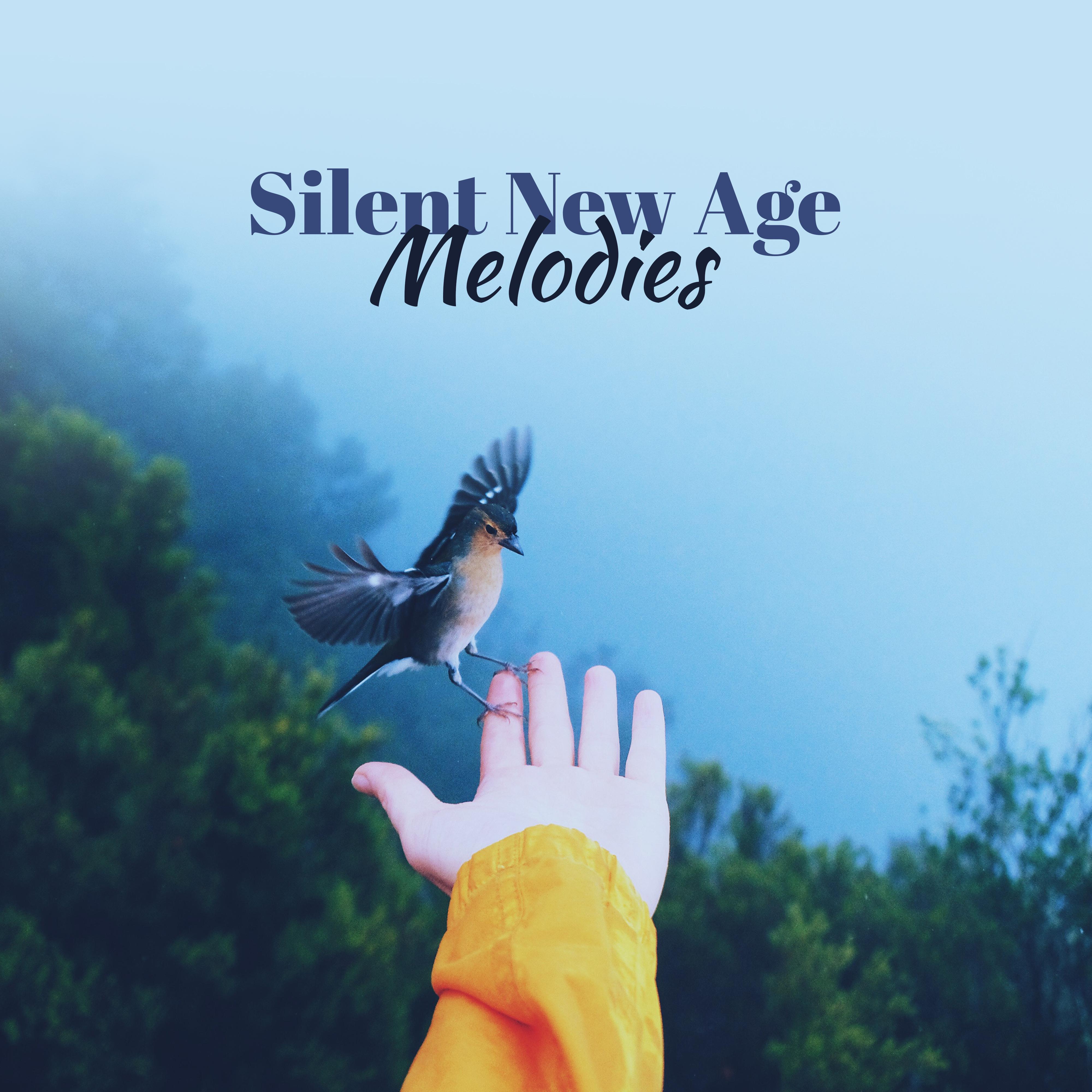 Silent New Age Melodies