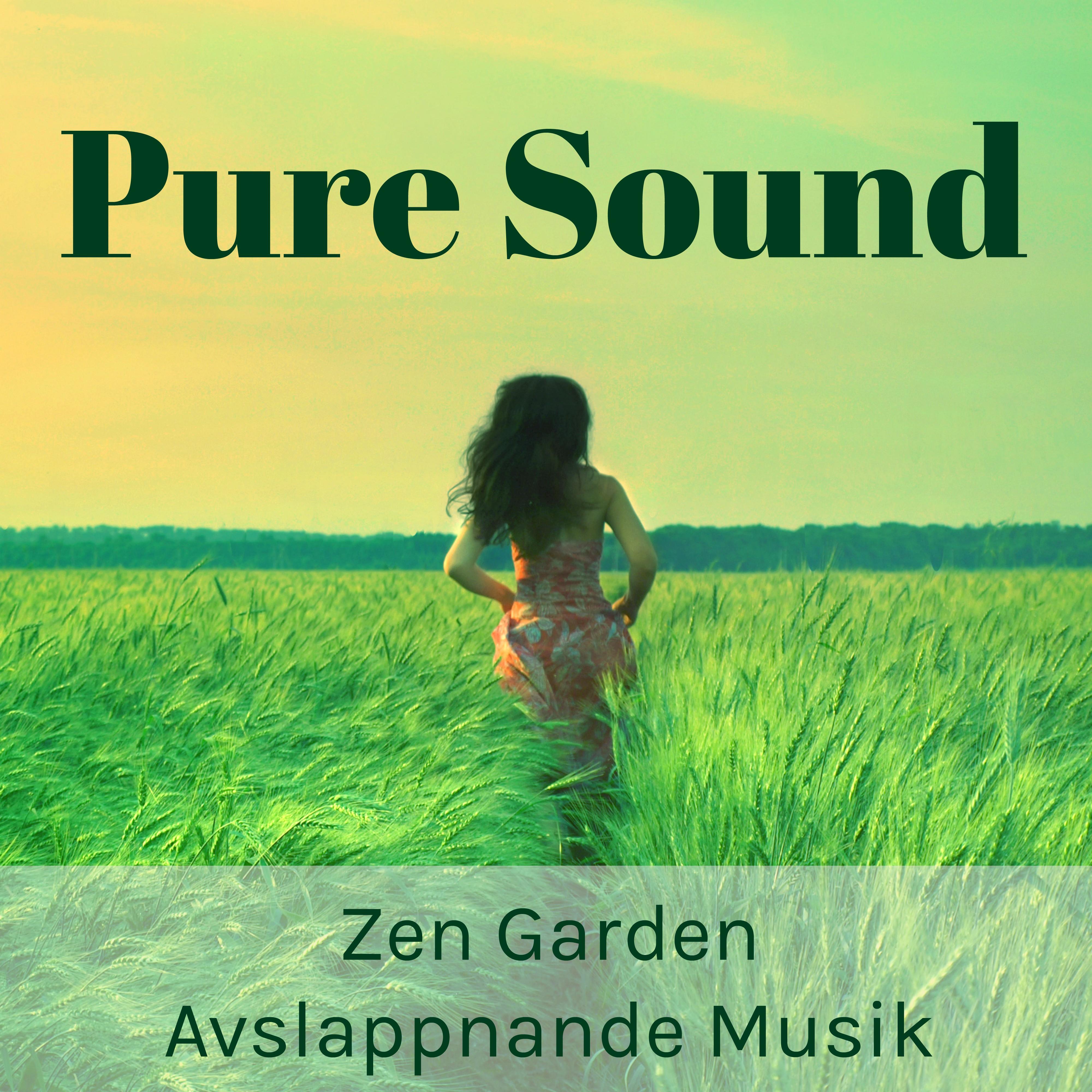Pure Sound - Zen Garden Avslappnande Musik för Meditationstekniker Biofeedback Terapi med Lugn Instrumental New Age Ljud