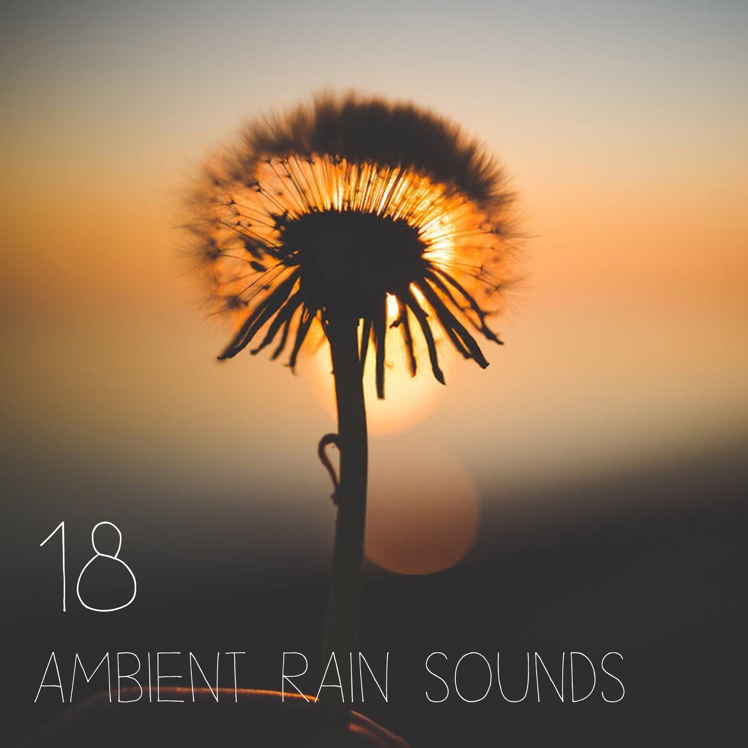 18 Ambient Rain Sounds and Sounds of Water - Deep Meditation and Sleep Sounds