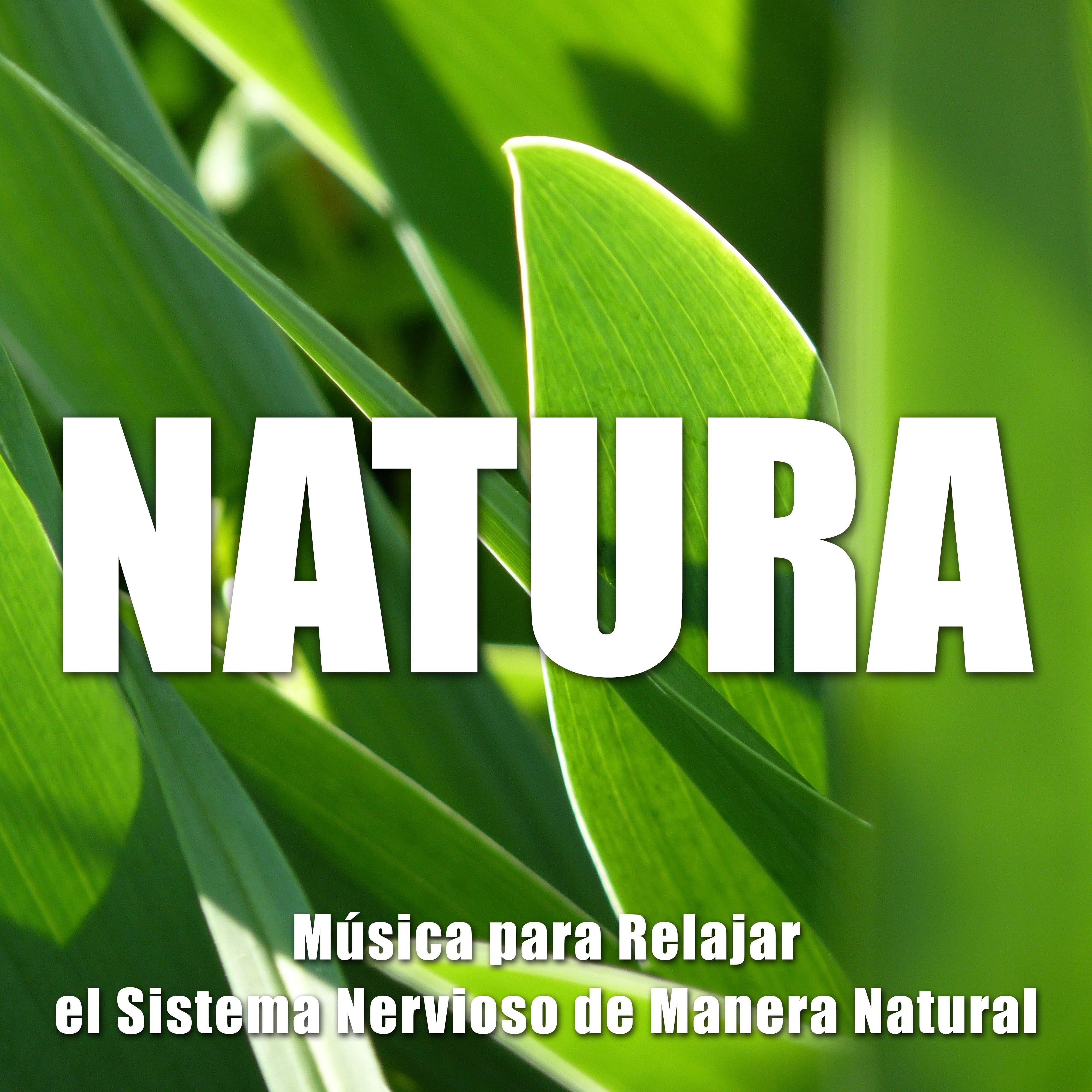 Natura New Age - Musica para Relajar el Sistema Nervioso de Manera Natural