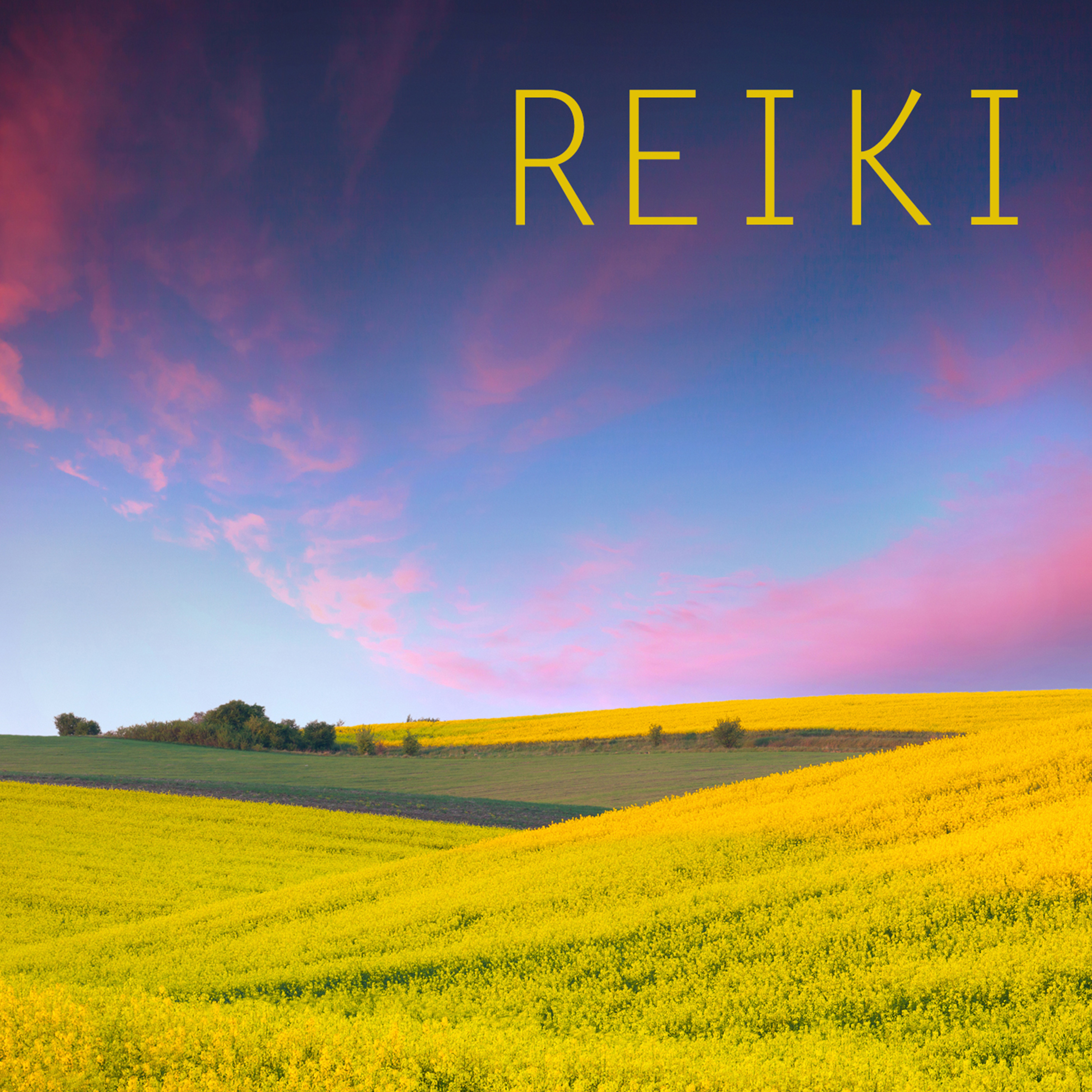 Reiki (With Tibetan Singing Bowl Every 3 minutes)