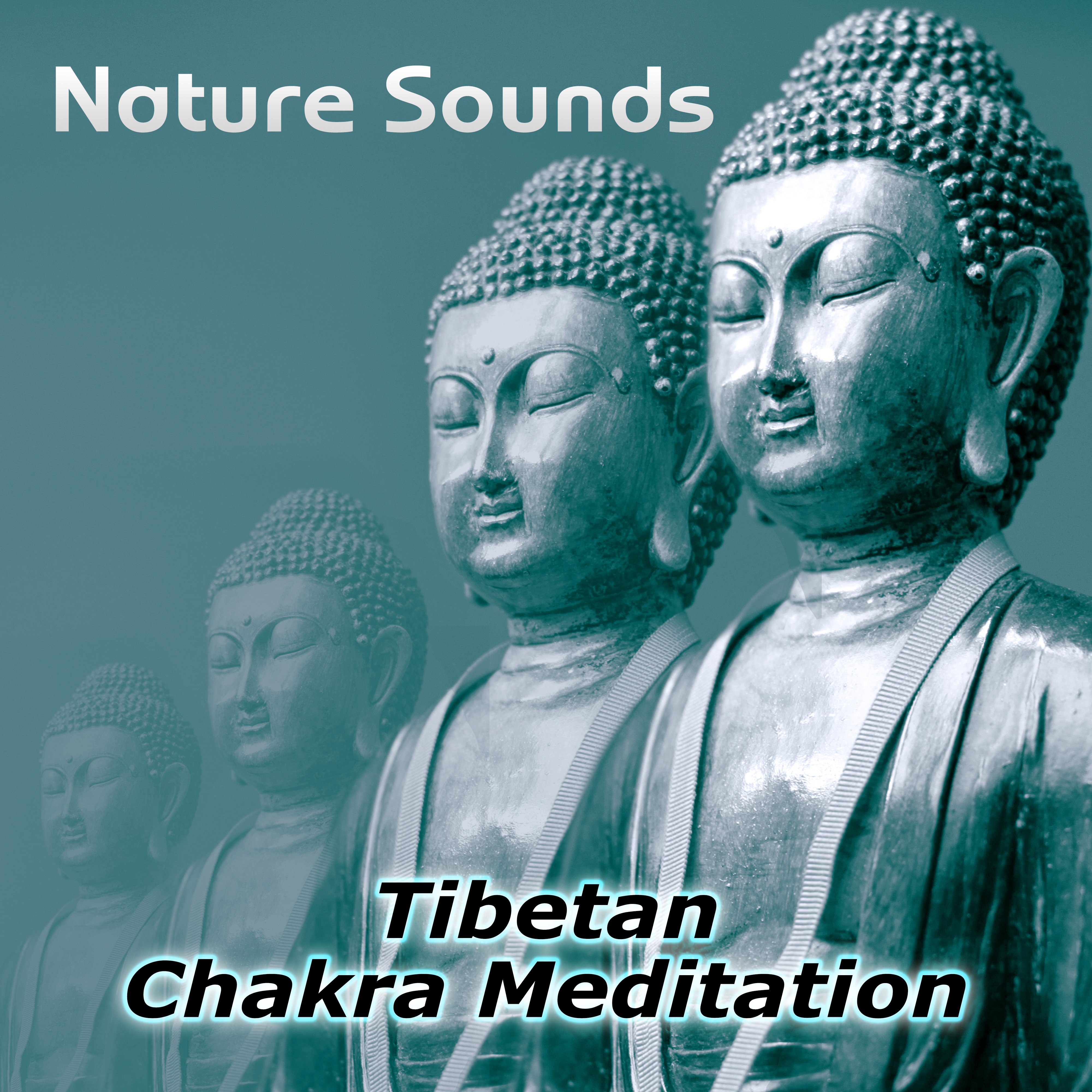 Nature Sounds – Relaxation & Tibetan Chakra Meditation, Healing Massage and Spa, Yoga Music Sound Therapy for Chakra Balancing, Baby Deep Sleep, Studying Music