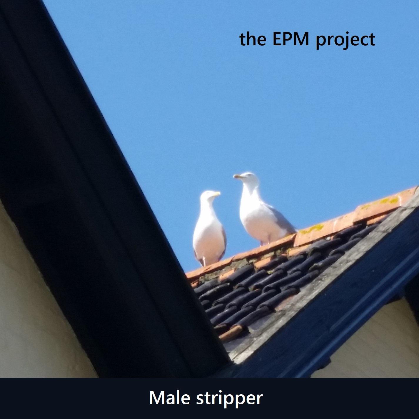 Male Stripper