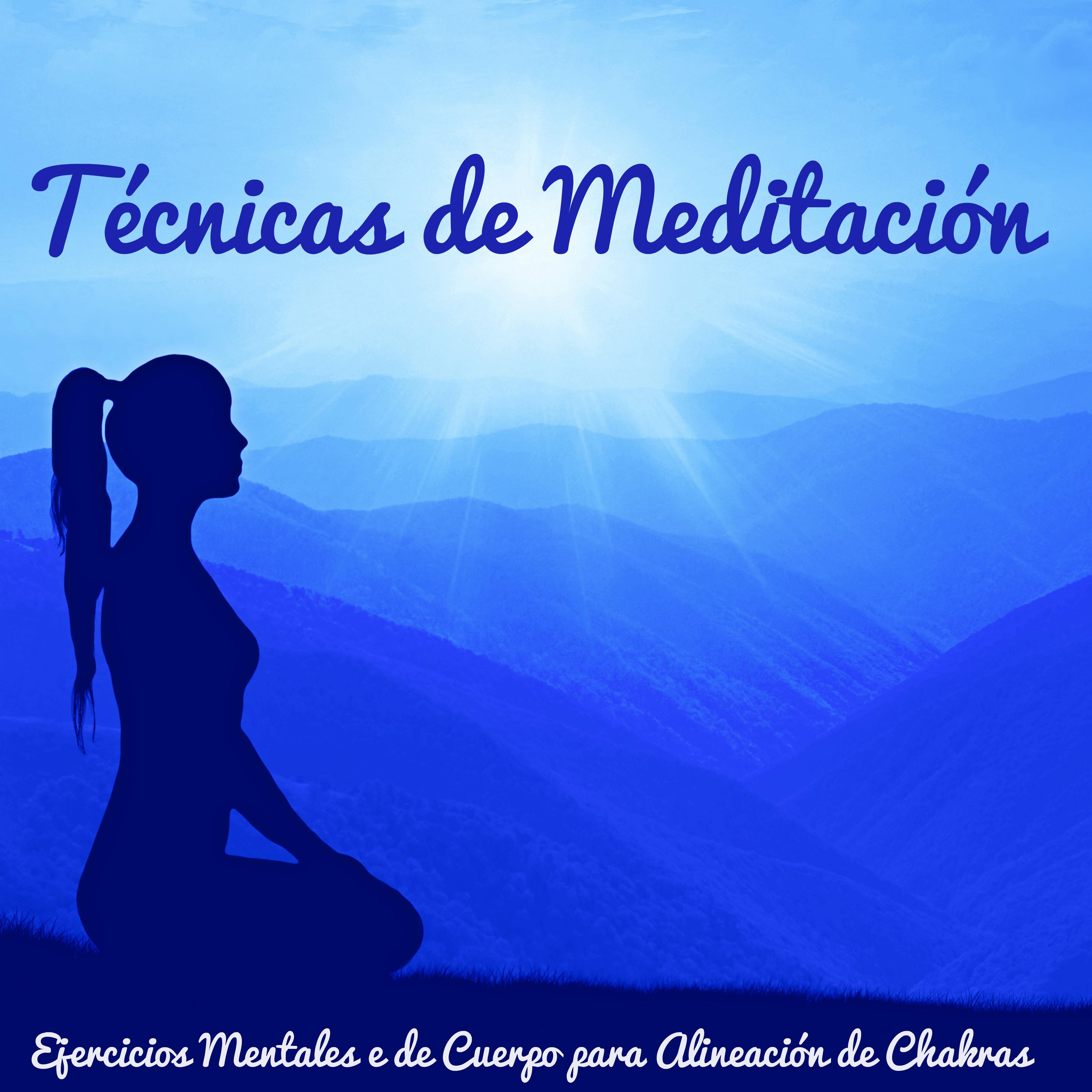 Técnicas de Meditación - Ejercicios Mentales e de Cuerpo para Alineación de Chakras, Sonidos de la Naturaleza New Age y Instrumentos Musicales