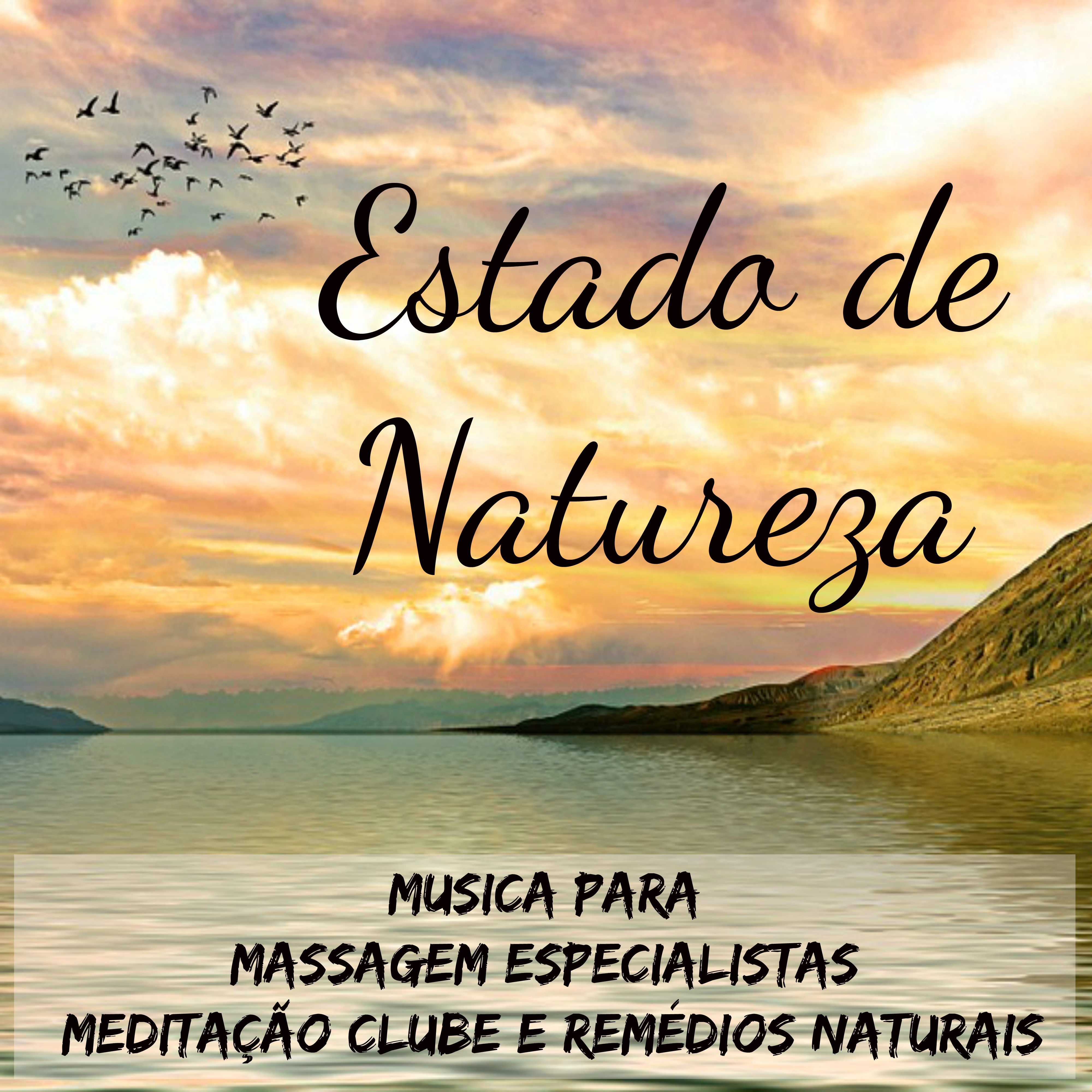 Estado de Natureza - Musica para Massagem Especialistas Meditação Clube e Remédios Naturais