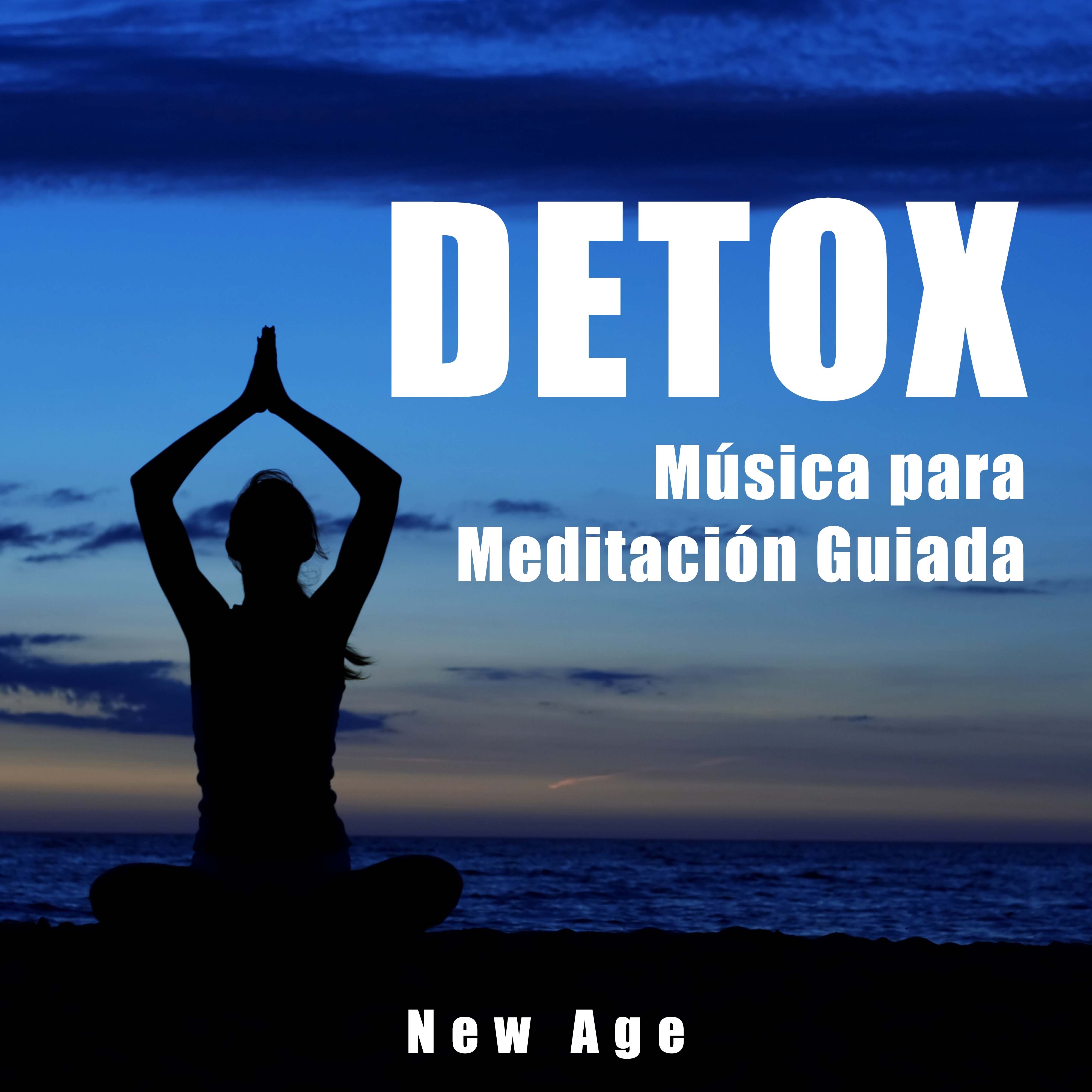 Detox - Musica para  Meditacion Guiada