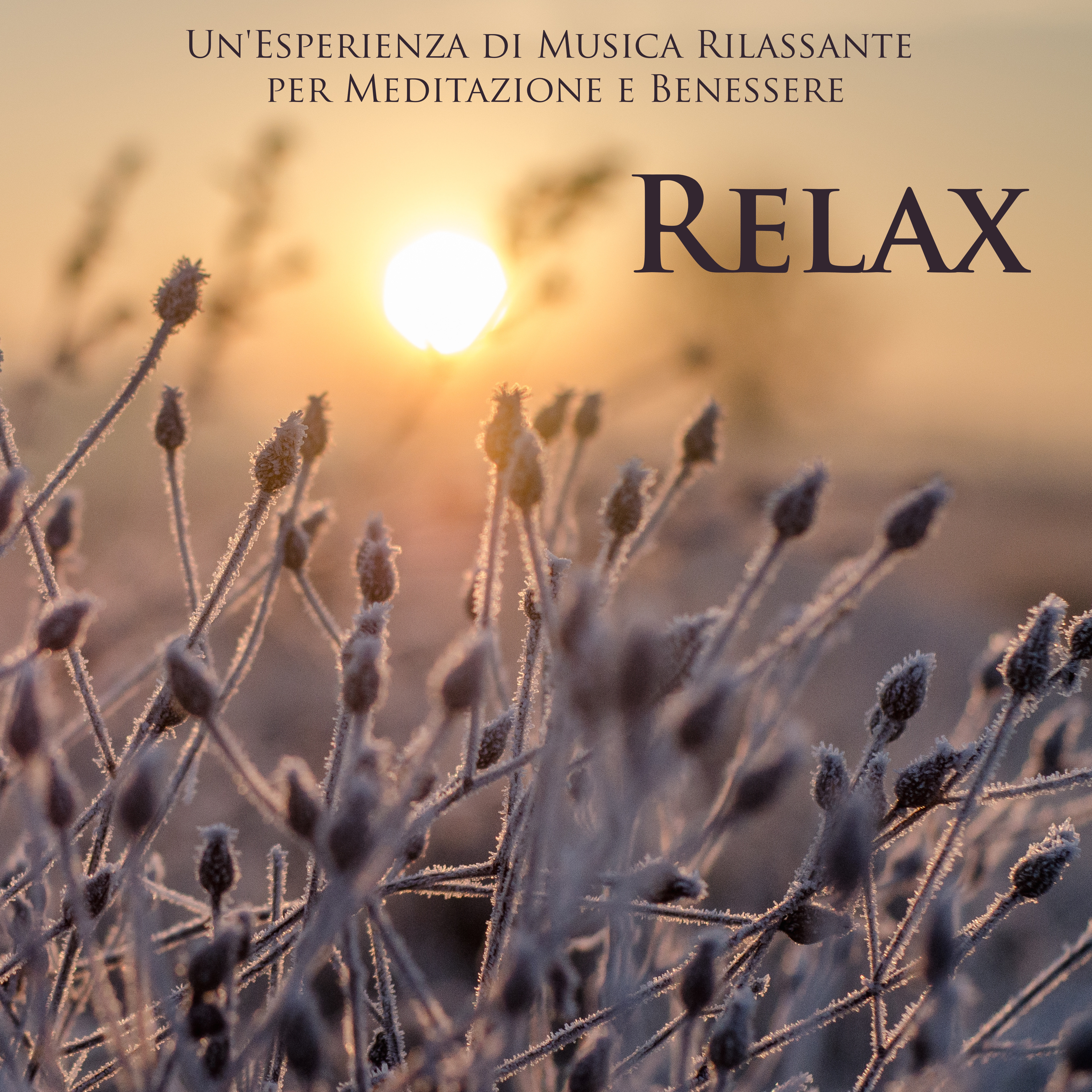 Musica Rilassante per Dormire