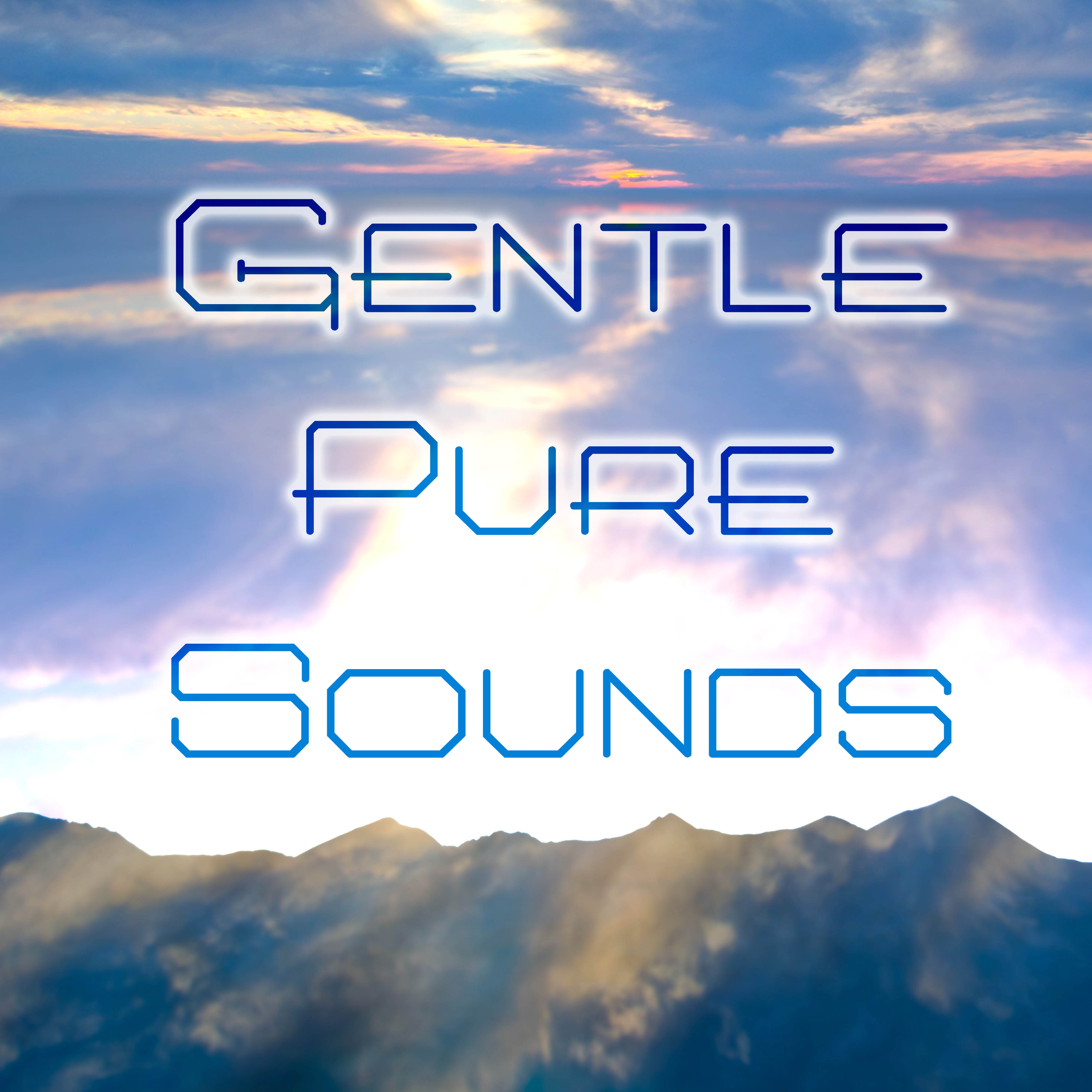 Gentle Pure Sounds - Blissful Meditation