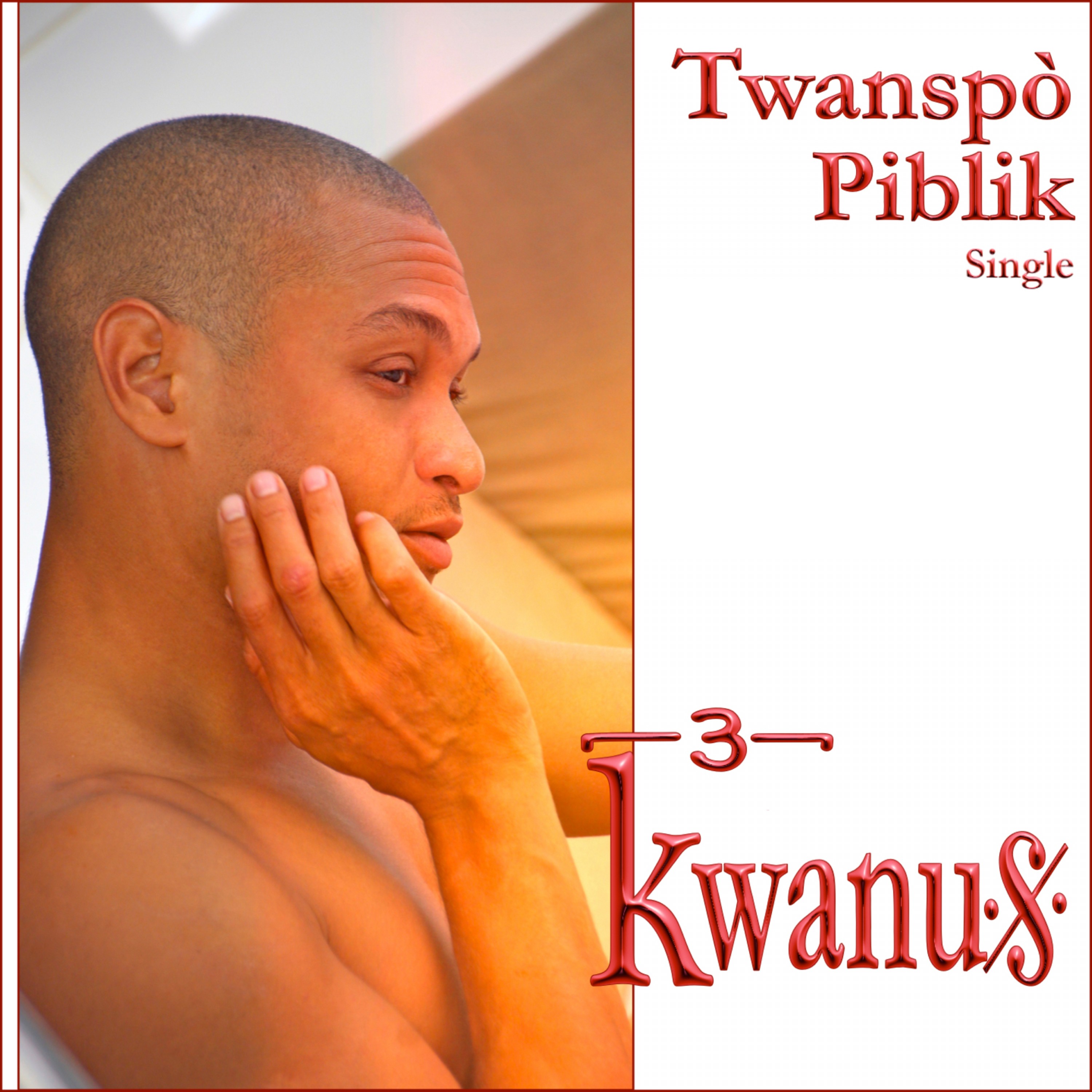 Twanspò piblik