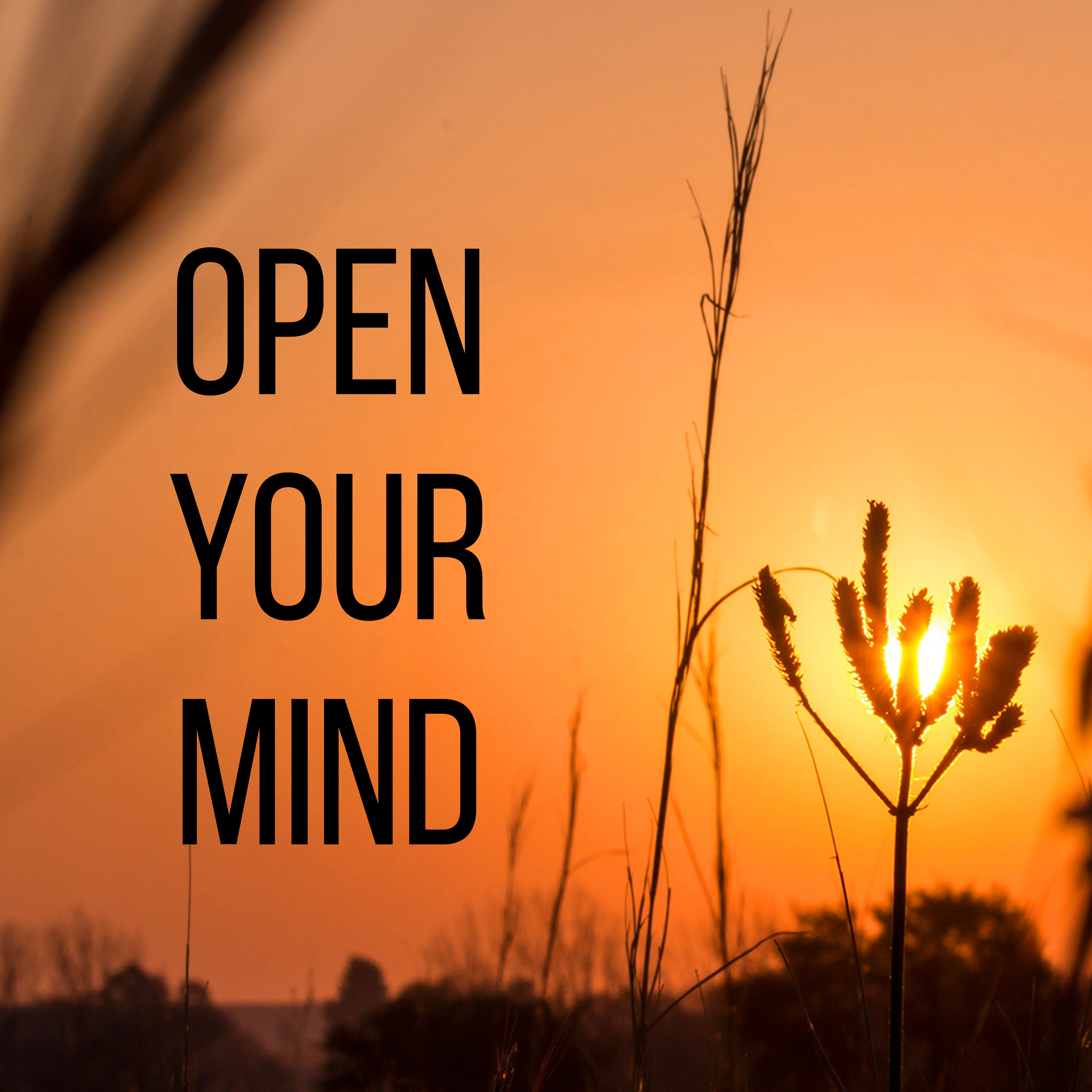 Open Your Mind - Calm New Age Music to Better Concentration While Learning, Relaxation and Meditation Sounds of Nature