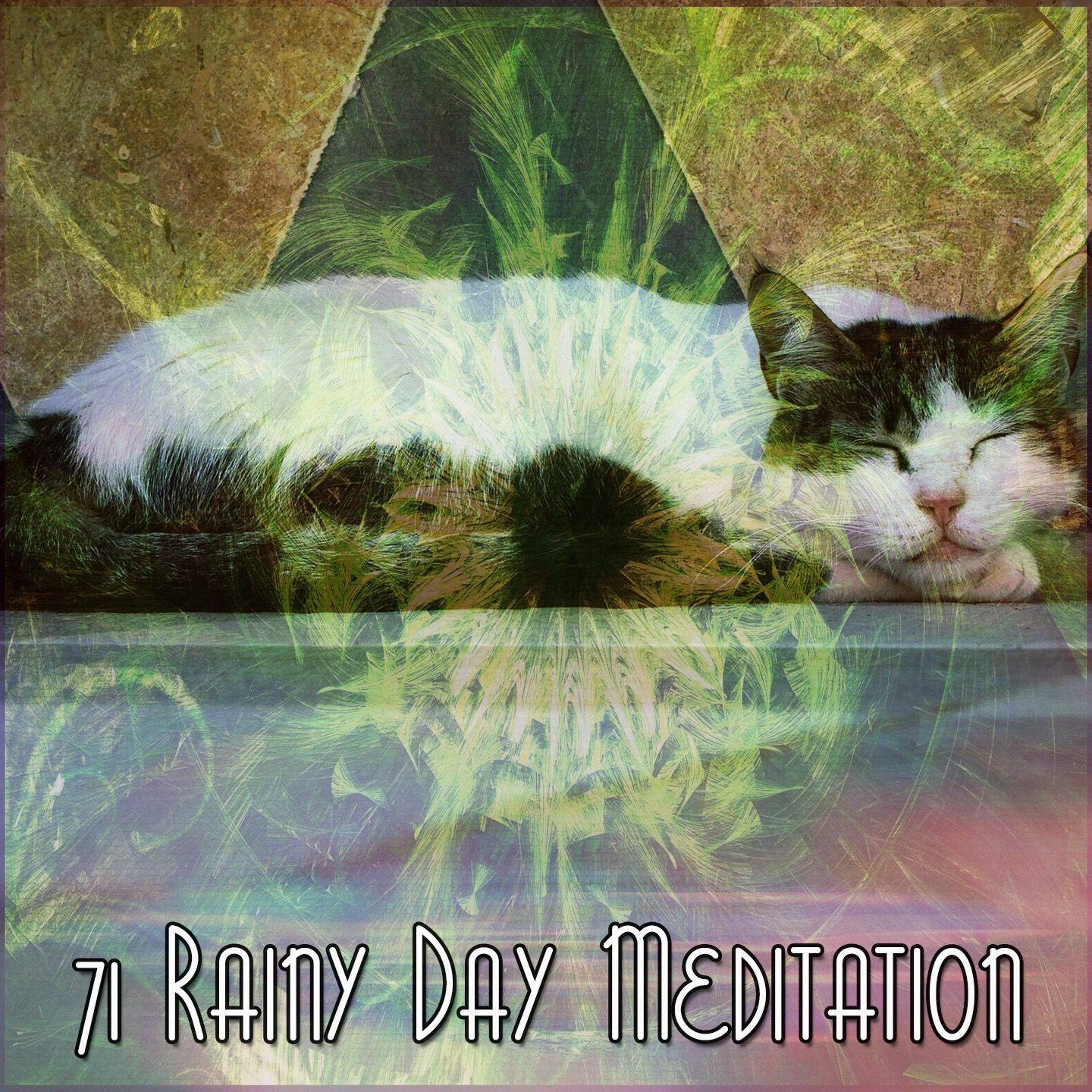 71 Rainy Day Meditation