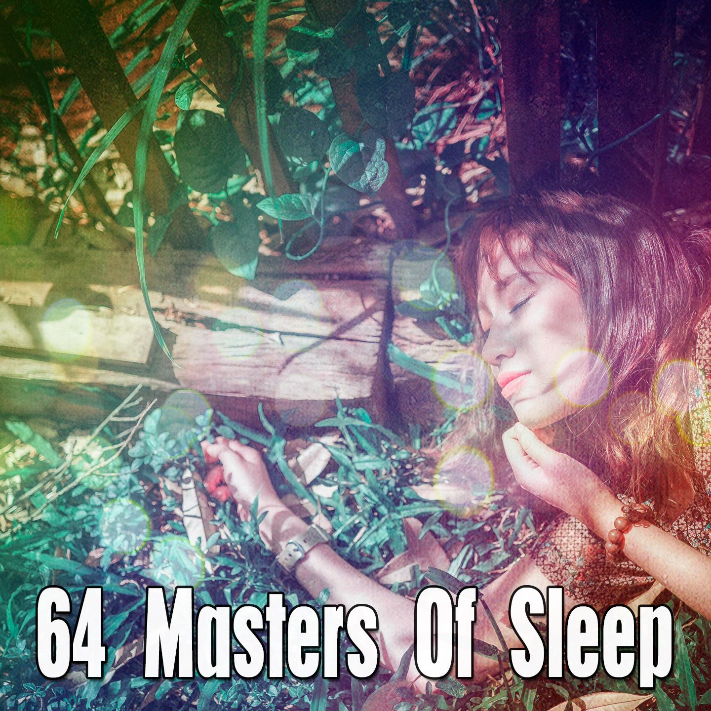 64 Masters Of Sleep