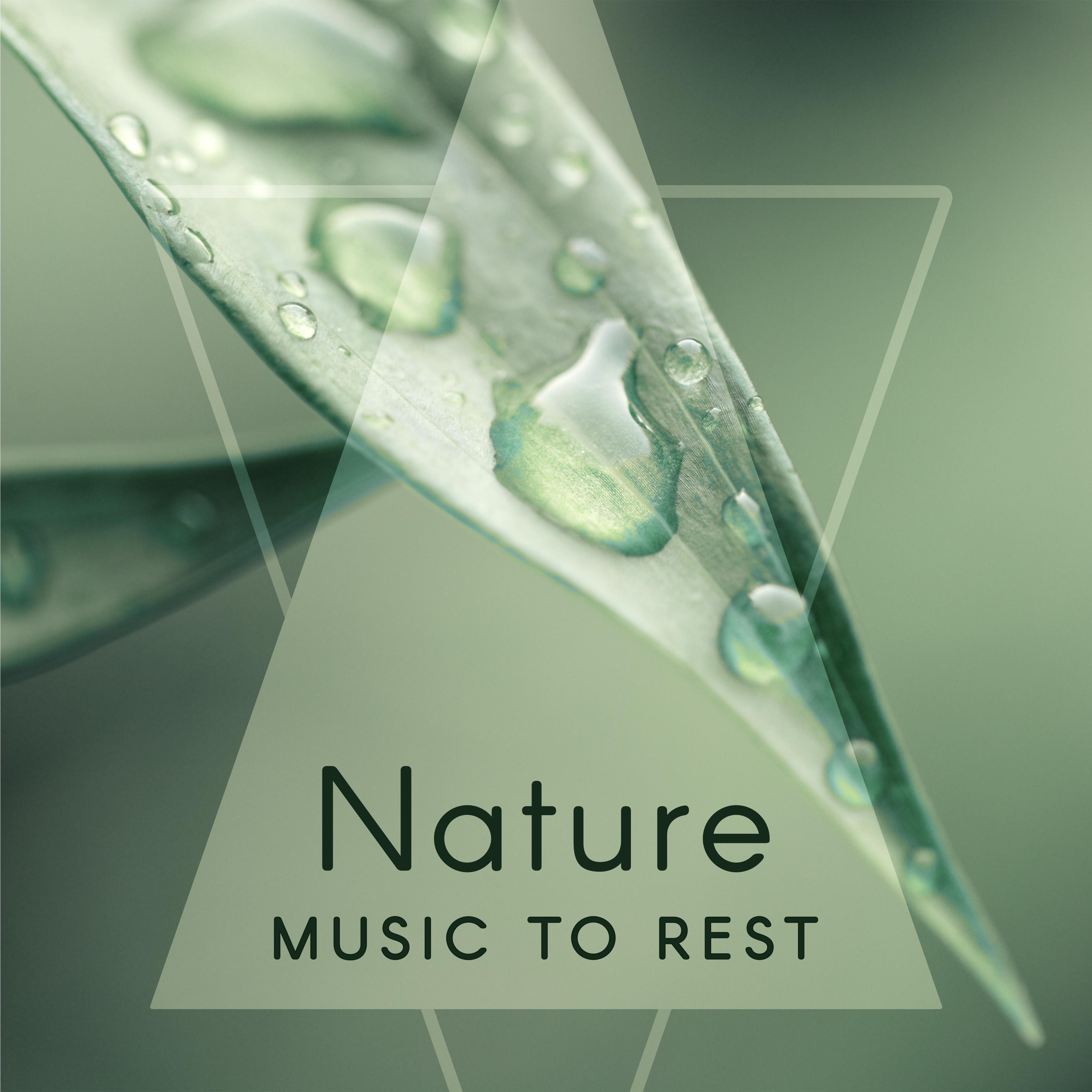 Nature Music to Rest – Soothing Waves, Nature Relaxation, New Age Calm Music, Sounds to Rest & Relax