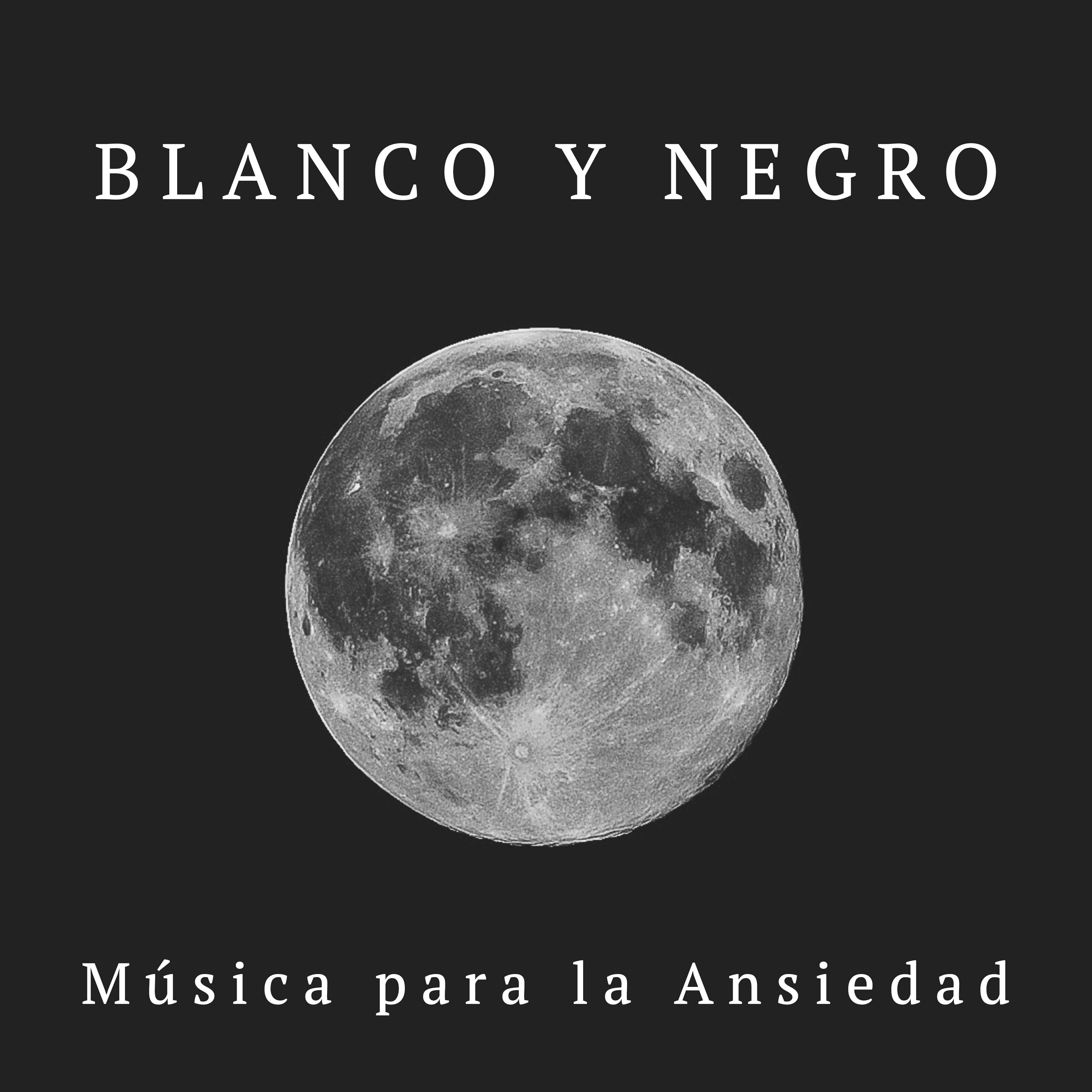 Blanco y Negro: Musica para la Ansiedad