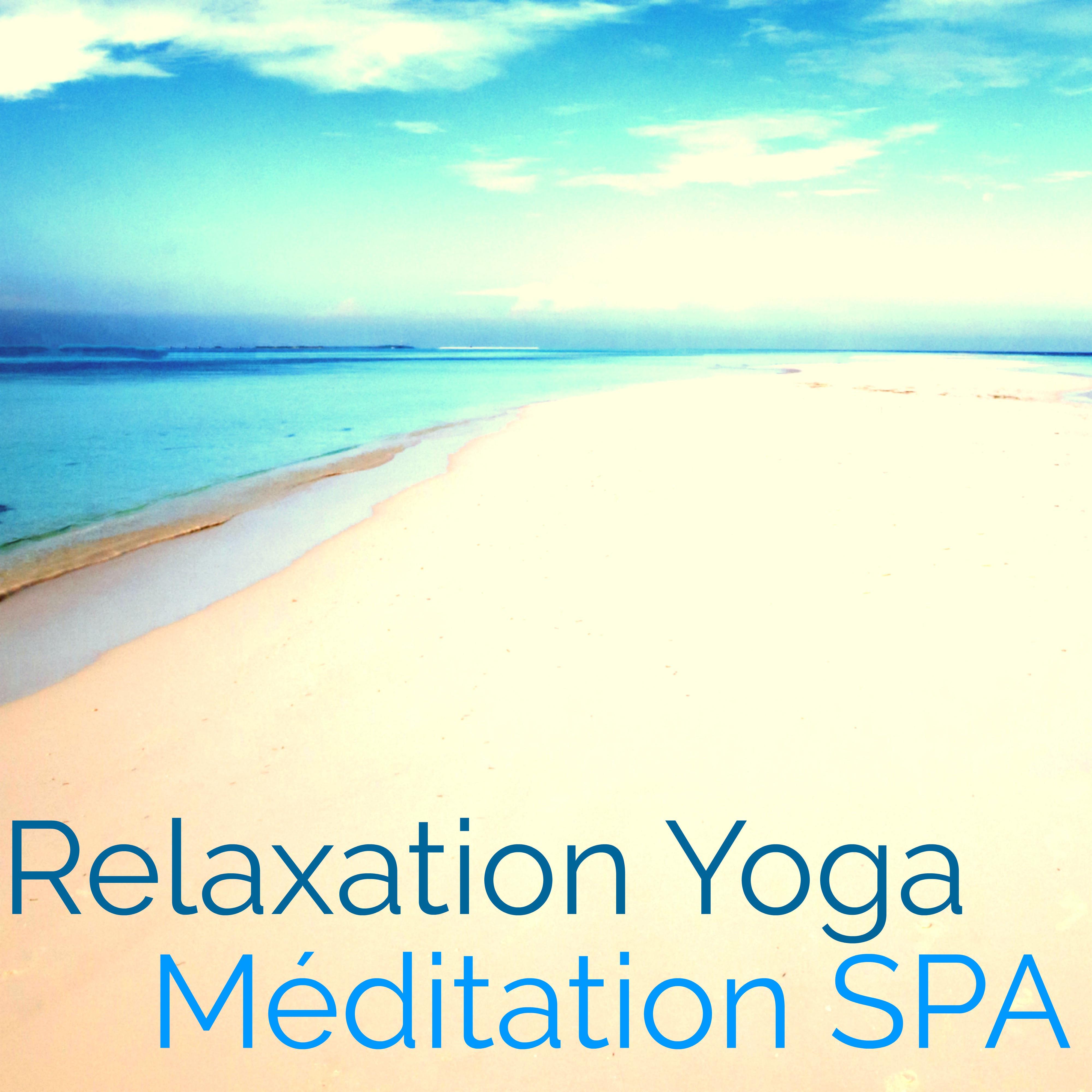 Relaxation Yoga Méditation Spa: Musique d'Ambiance Relaxante pour Relaxation, Spa, Méditation, Yoga et Massage, Coffret Bien-être pour votre Santé