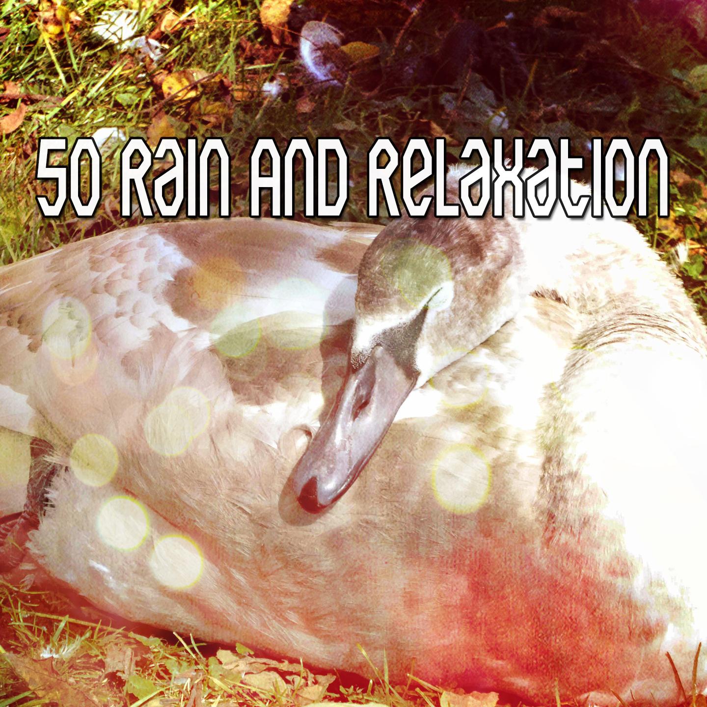 50 Rain And Relaxation