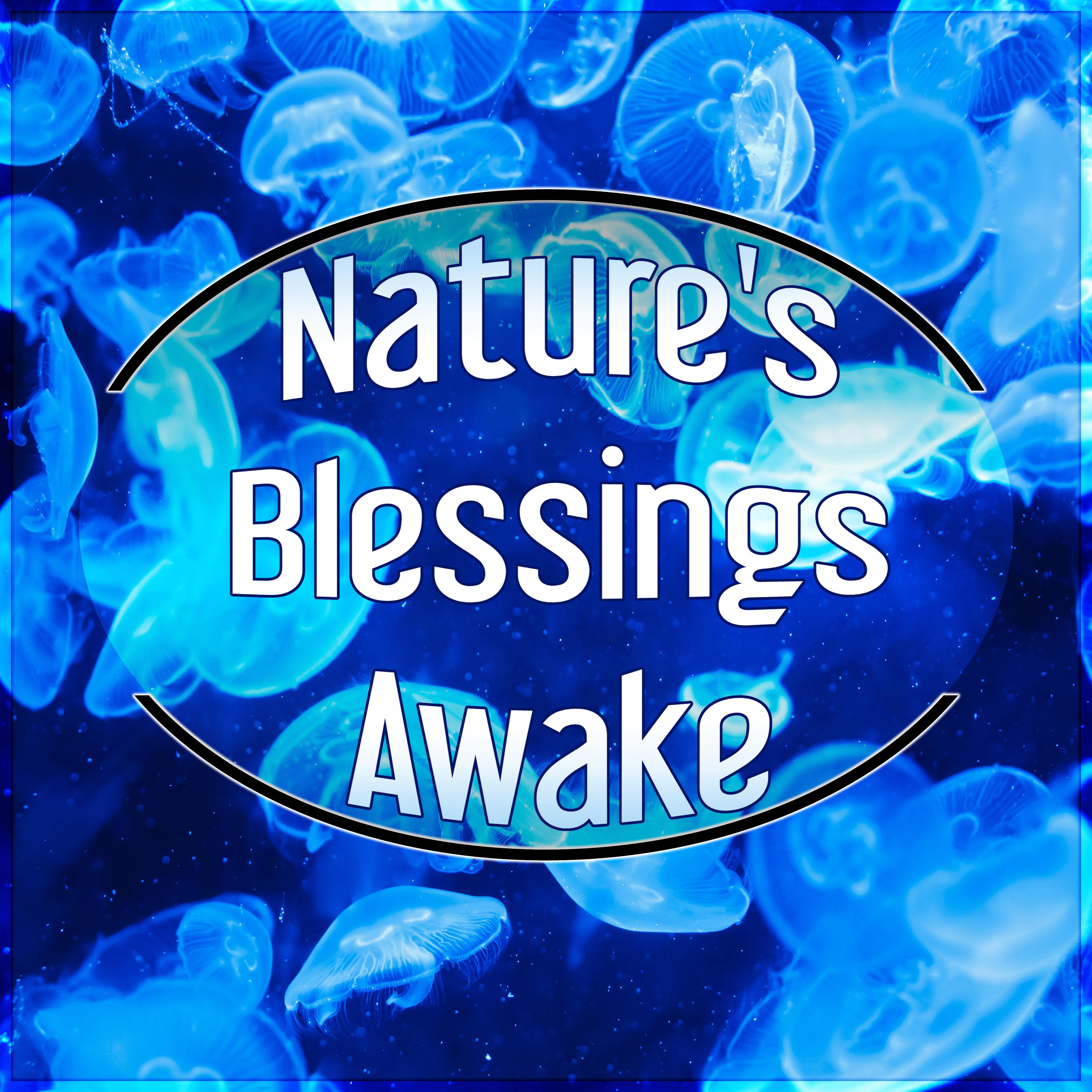 Nature's Blessings Awake - Pure Sound, Exceptional Nature Sounds for Relaxation, Healing Meditation