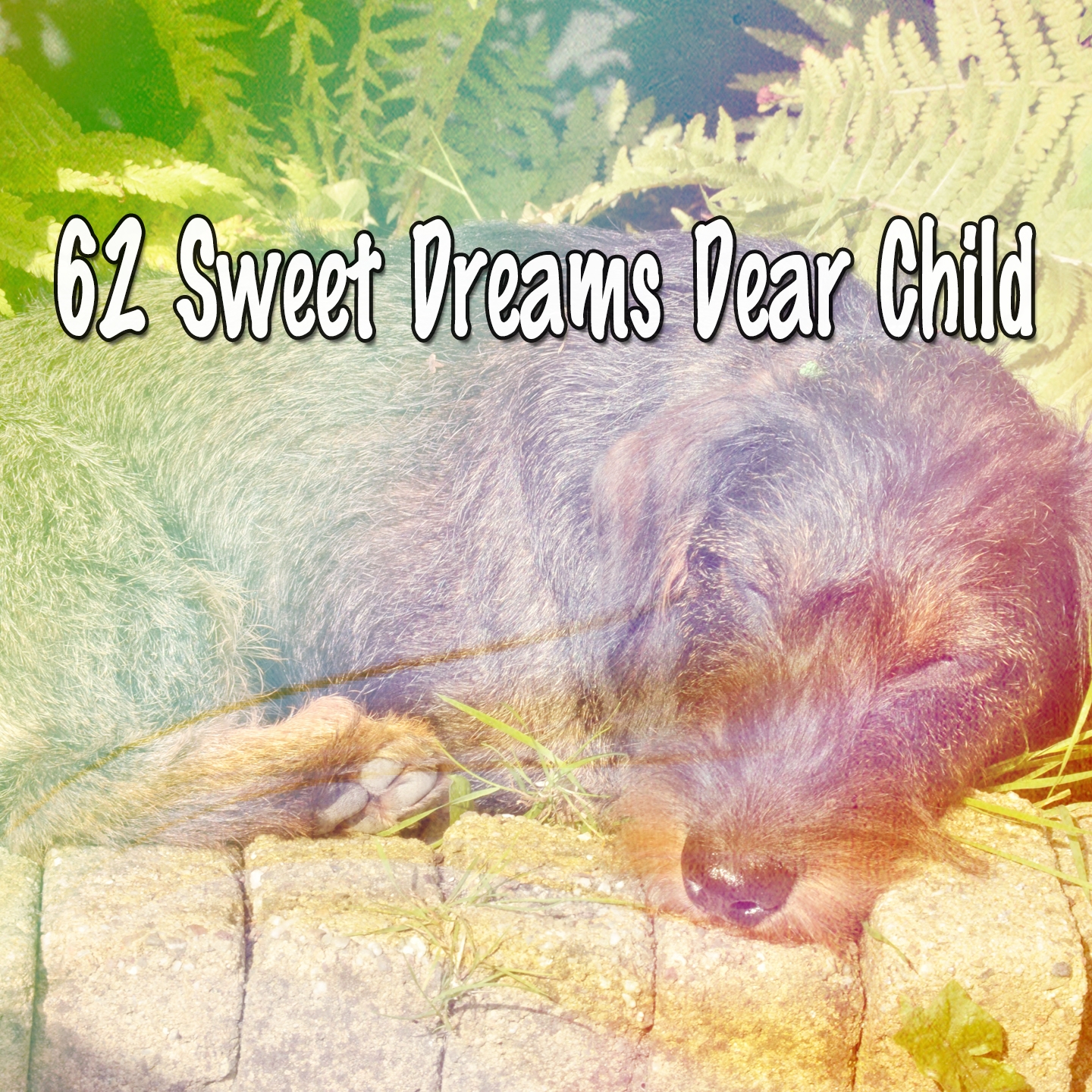 62 Sweet Dreams Dear Child