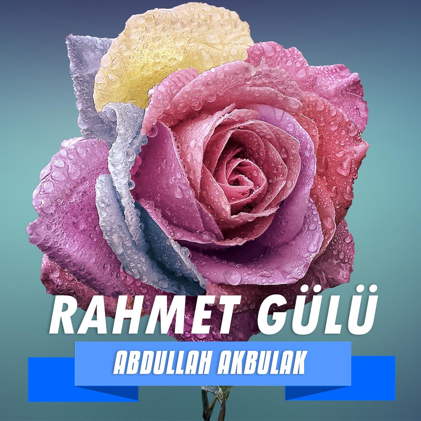 Rahmet Gülü