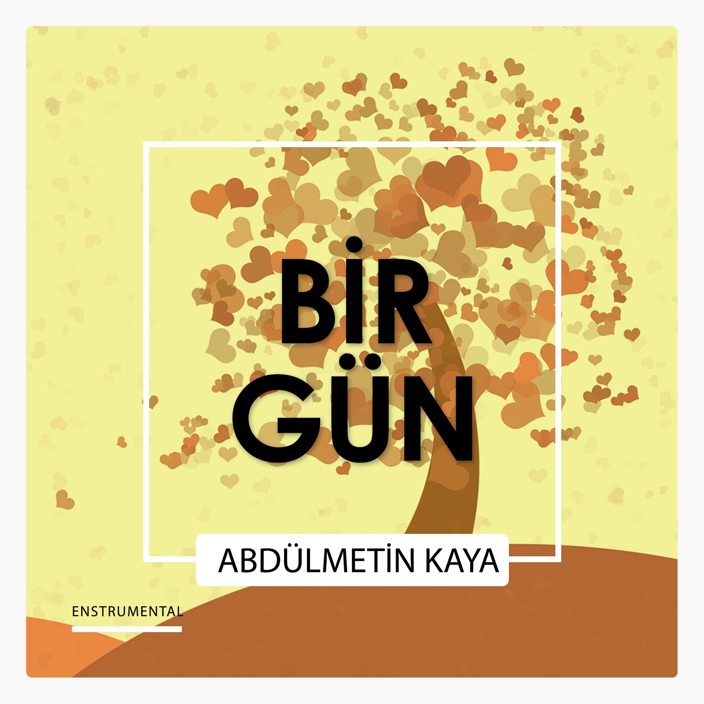 Bir Gün