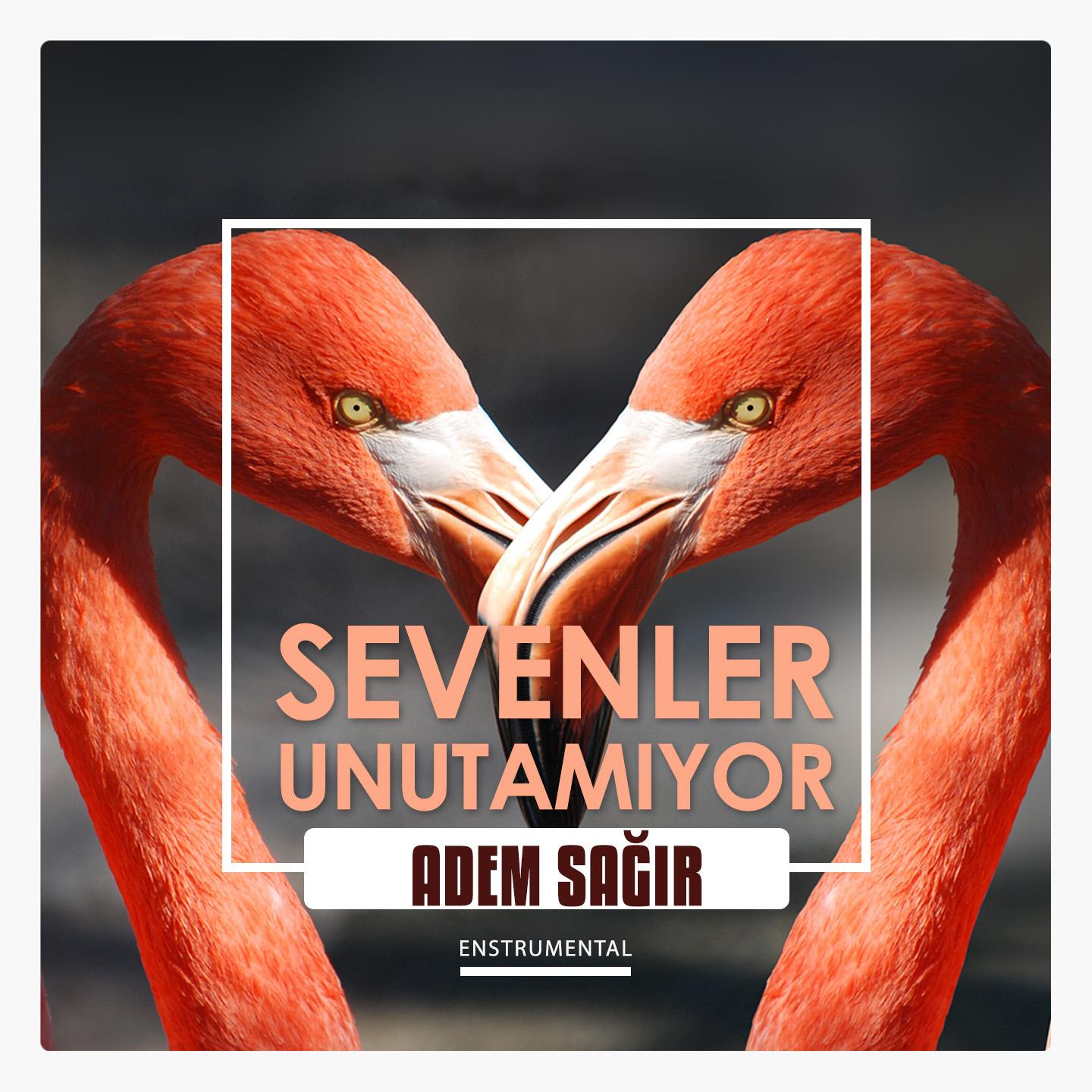 Sevenler Unutamıyor (Enstrumental)