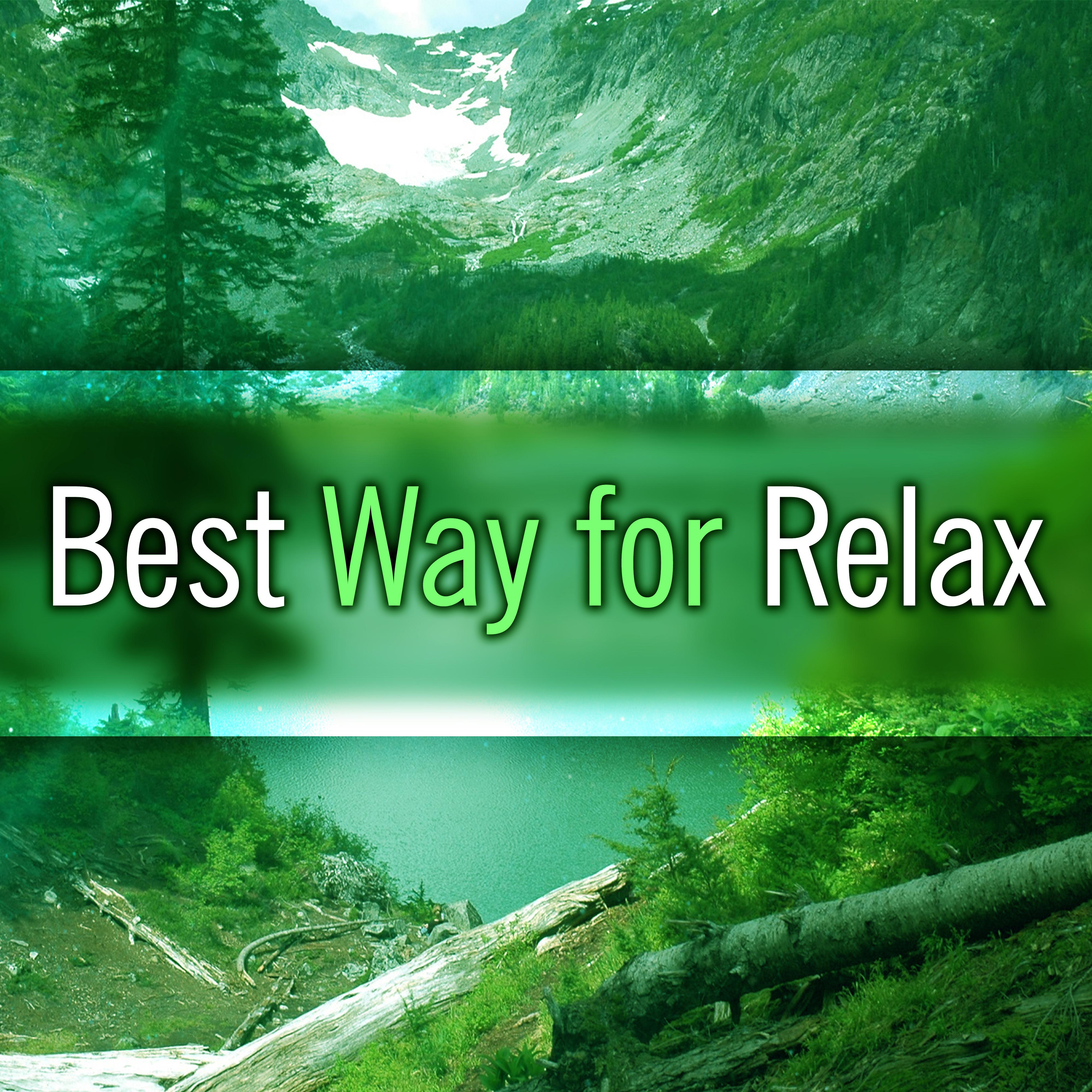 Best Way for Relax – Calming Sounds of Nature, Helpful for Calm Down and Rest, Healing Nature
