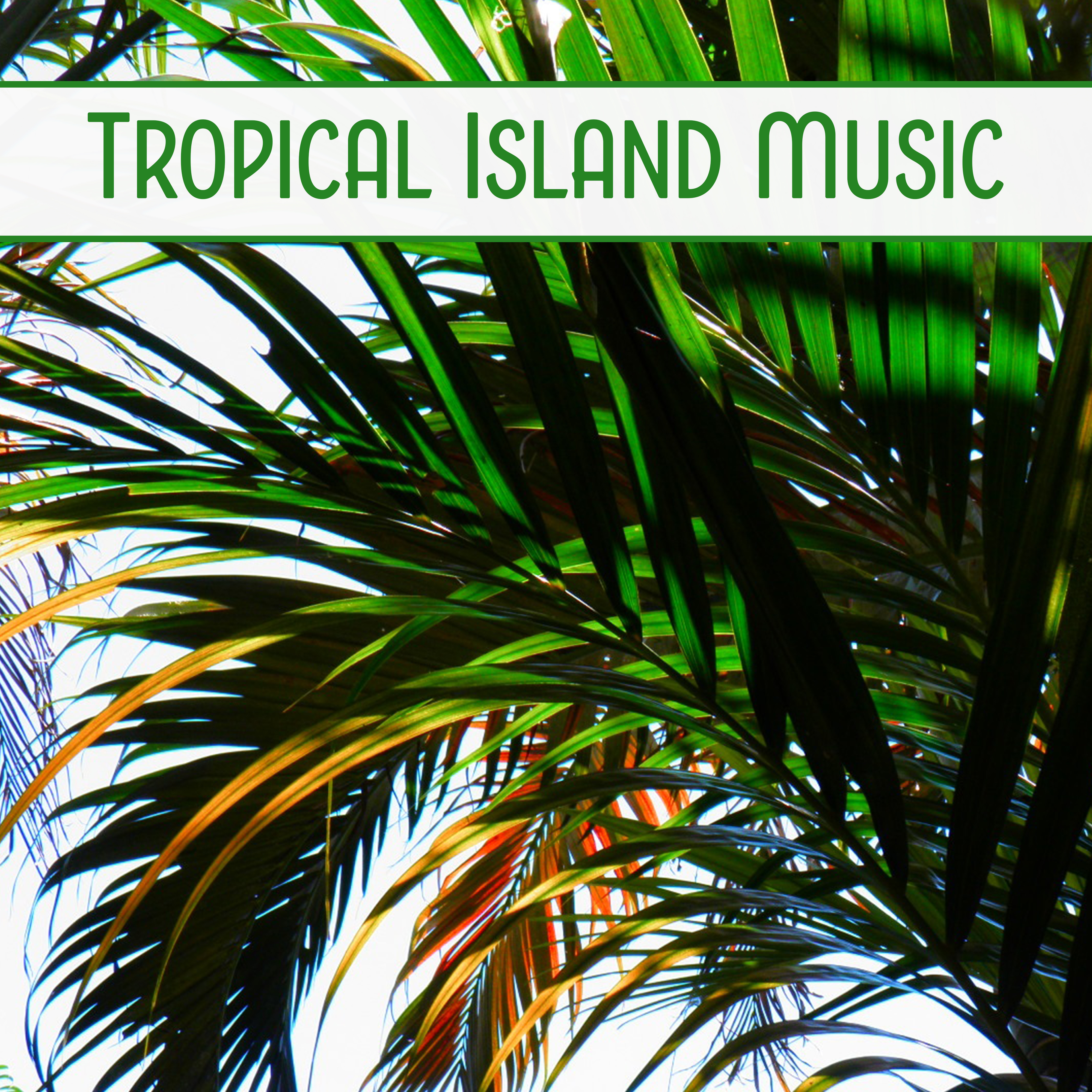 Tropical Island Music – Relaxing Sounds, Chill Out Music, Soft Relaxation, Beach Lounge